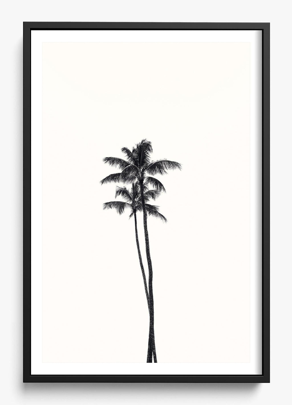California Lovers