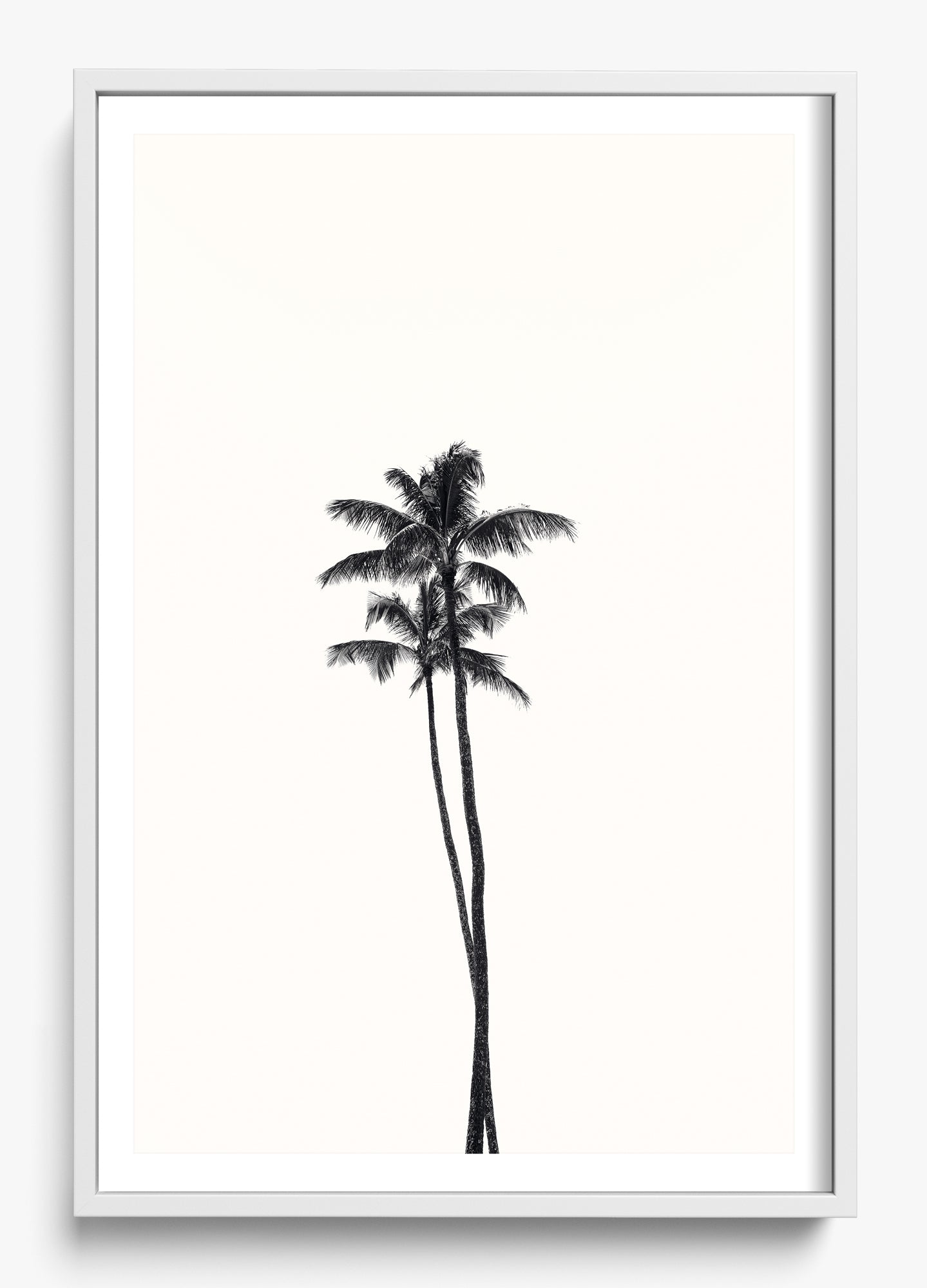California Lovers