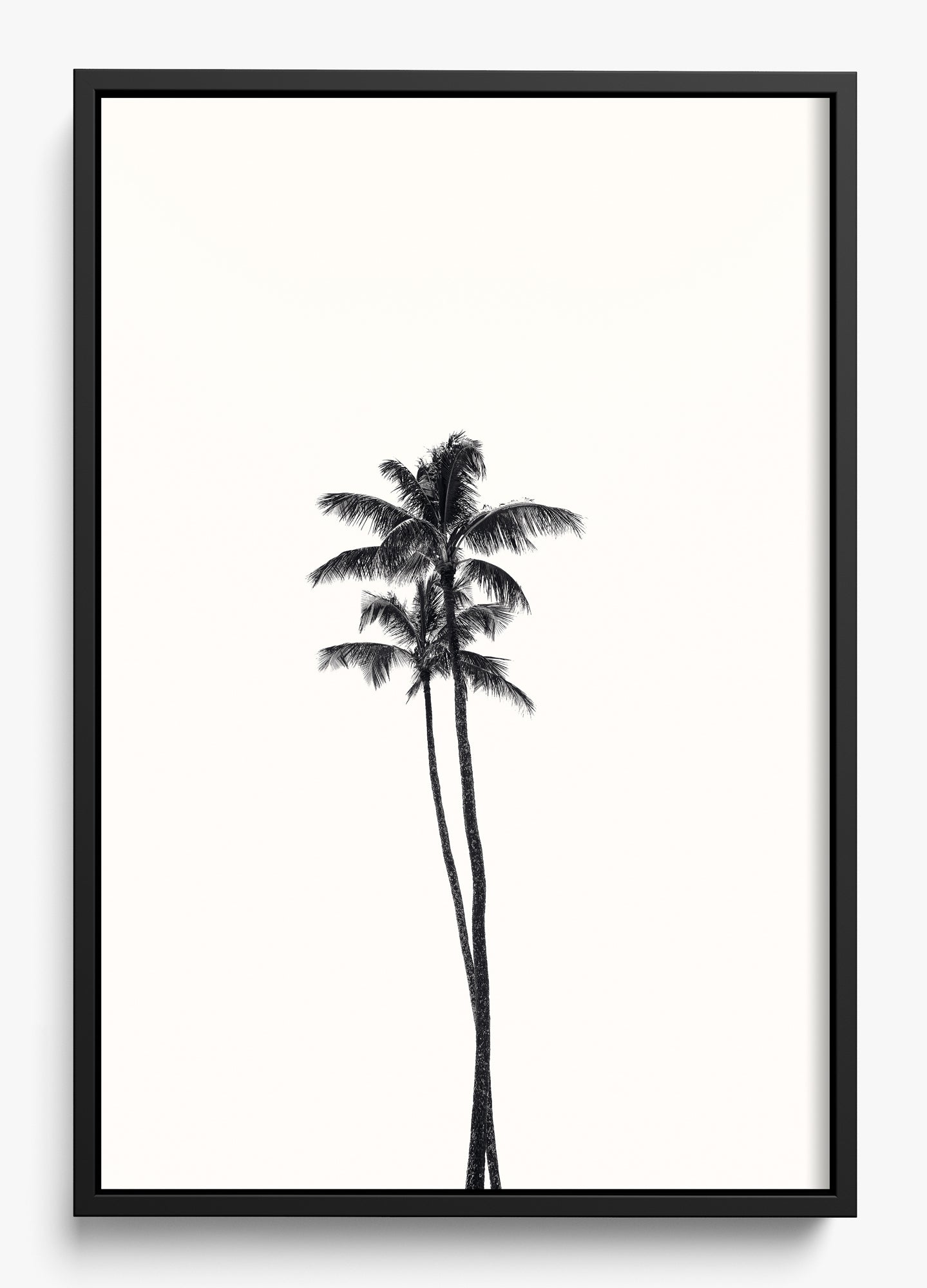 California Lovers