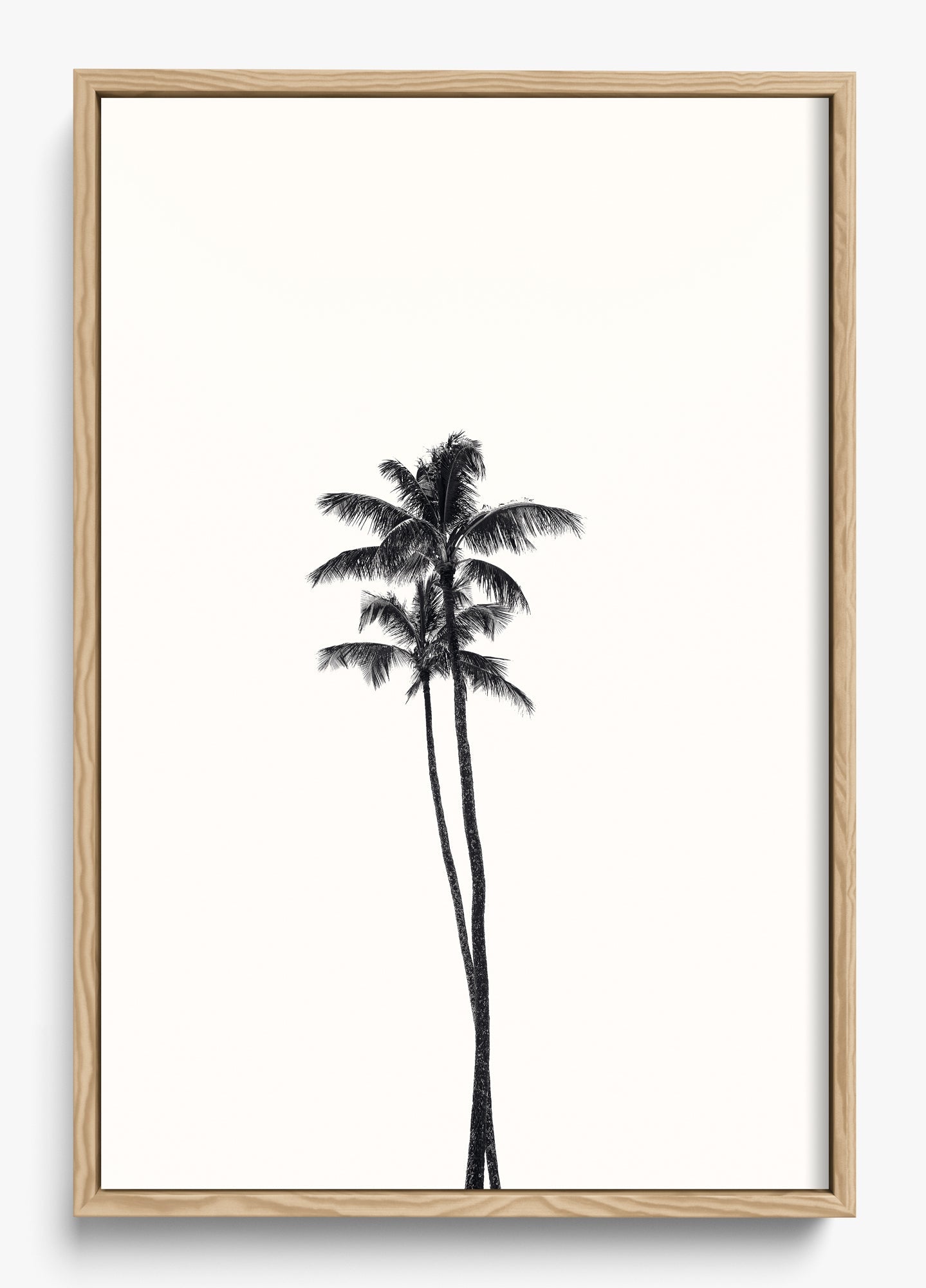 California Lovers