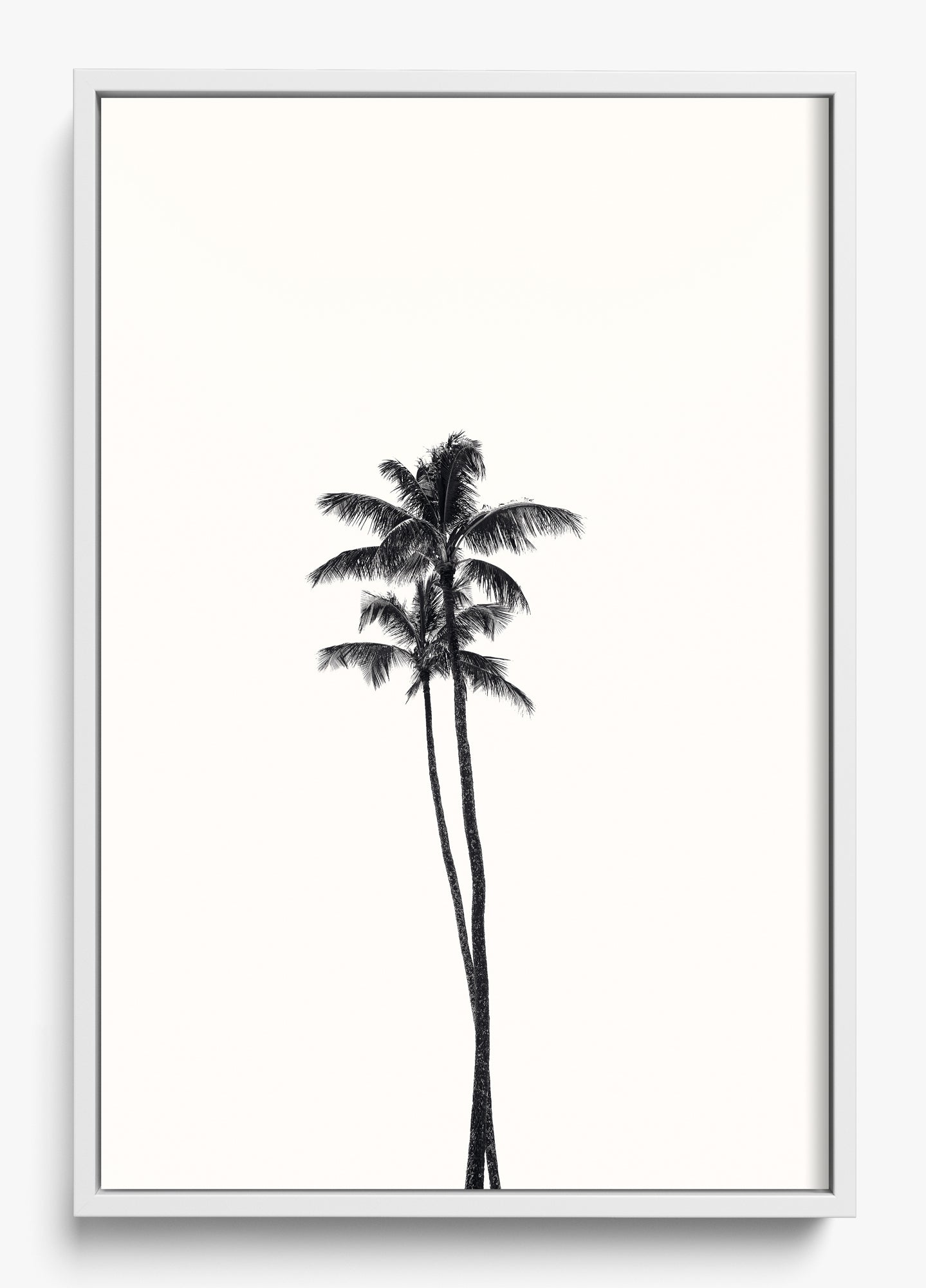 California Lovers