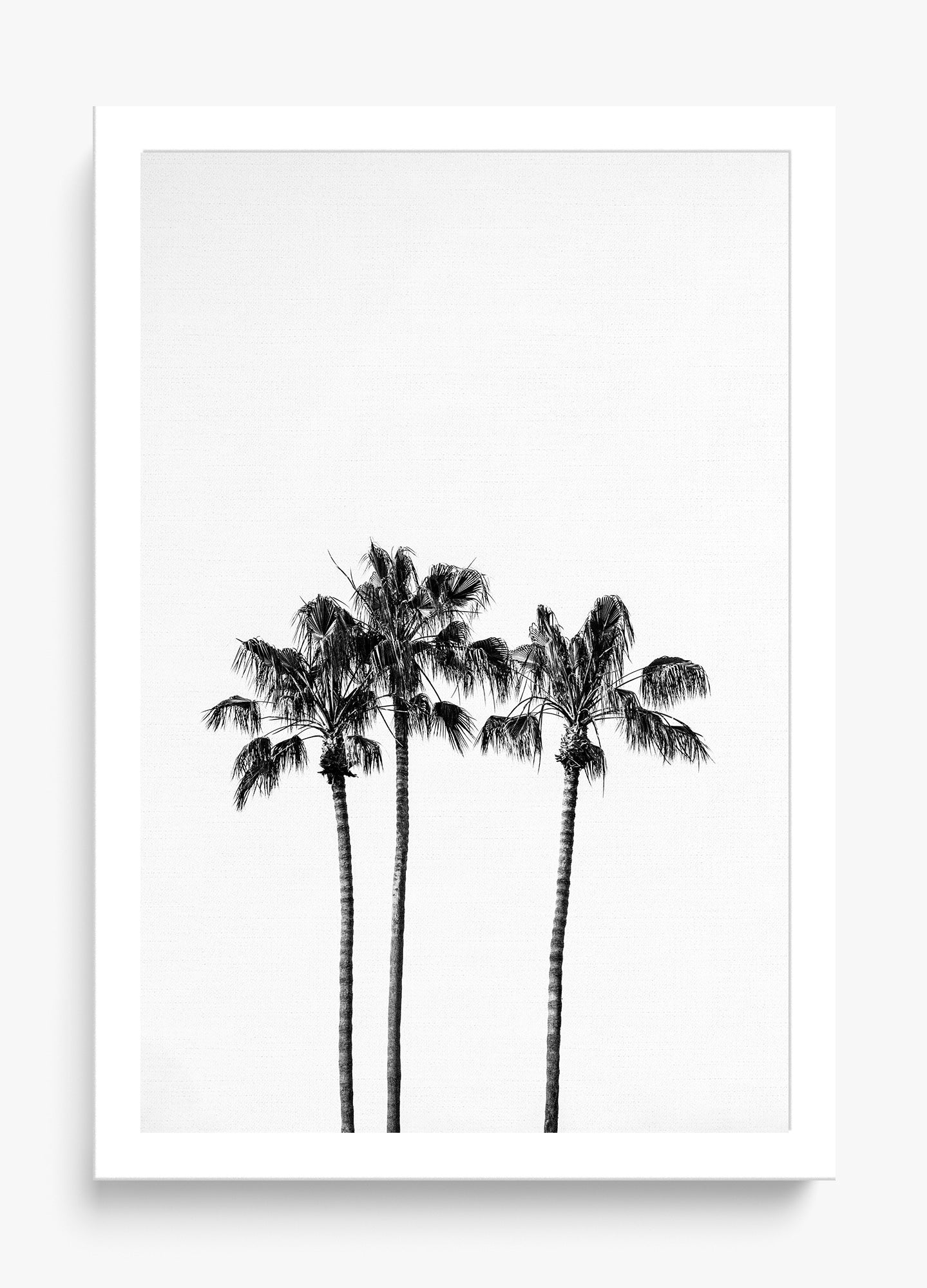 Californian Fireworks