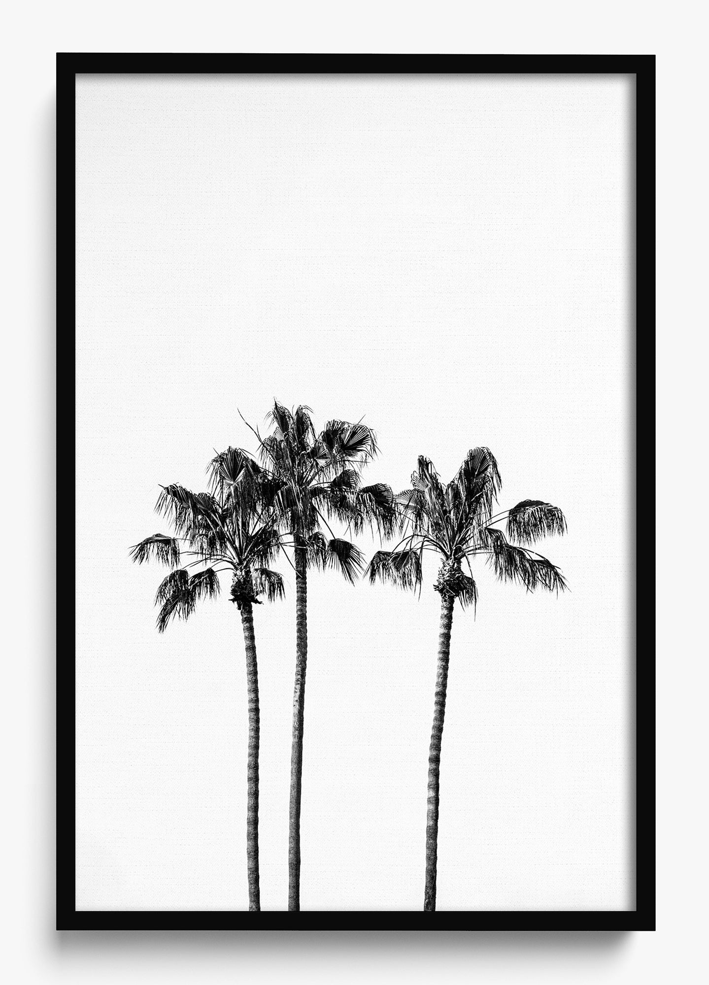 Californian Fireworks