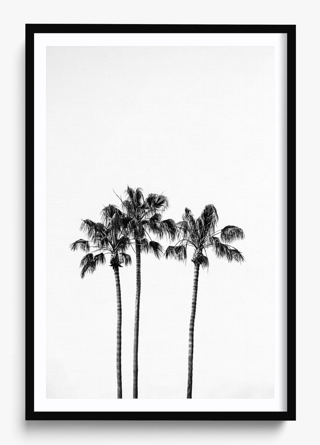 Californian Fireworks