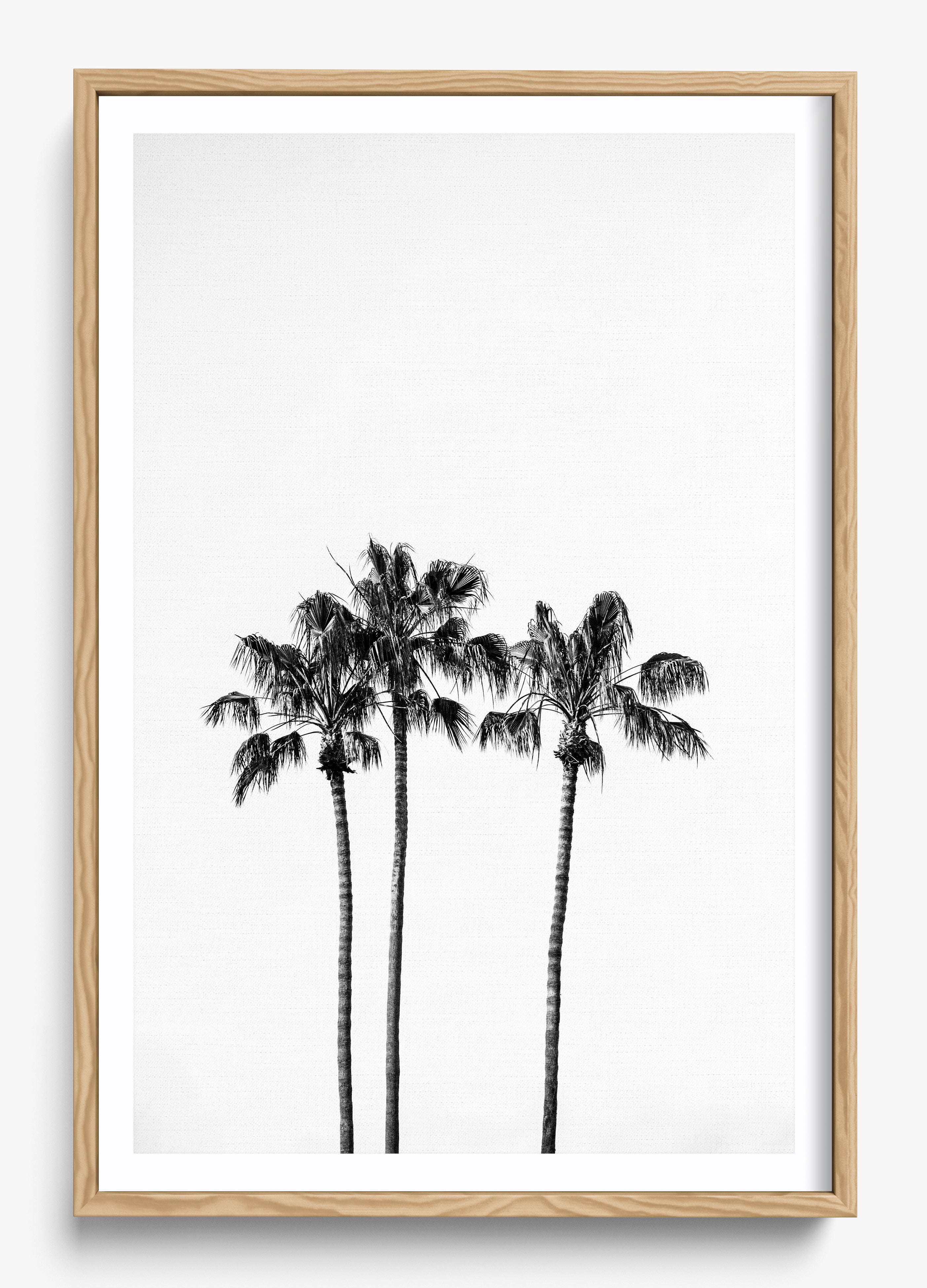 Californian Fireworks