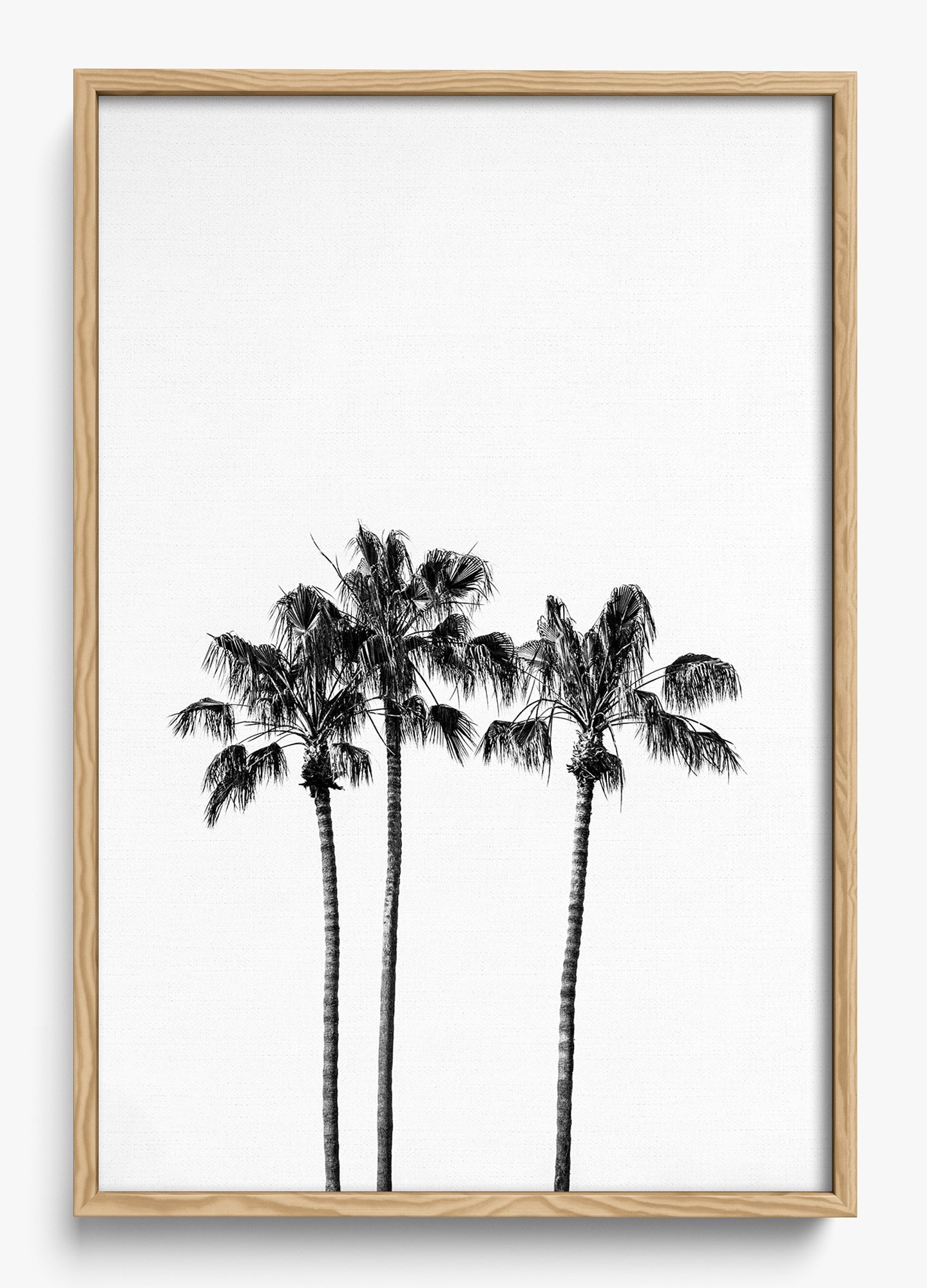 Californian Fireworks