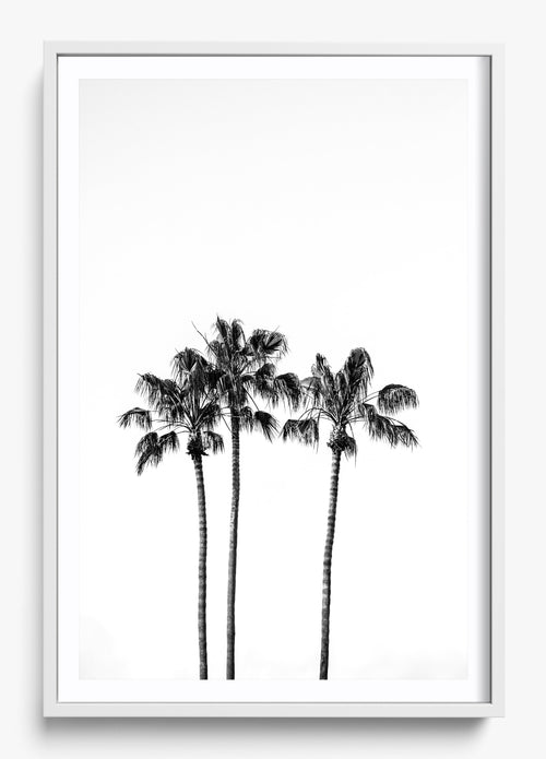 Californian Fireworks