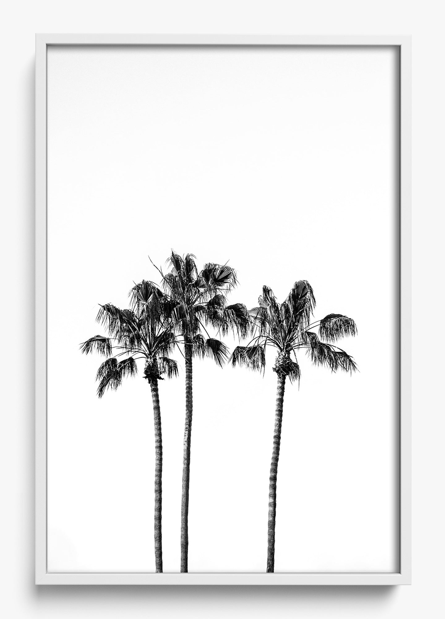 Californian Fireworks