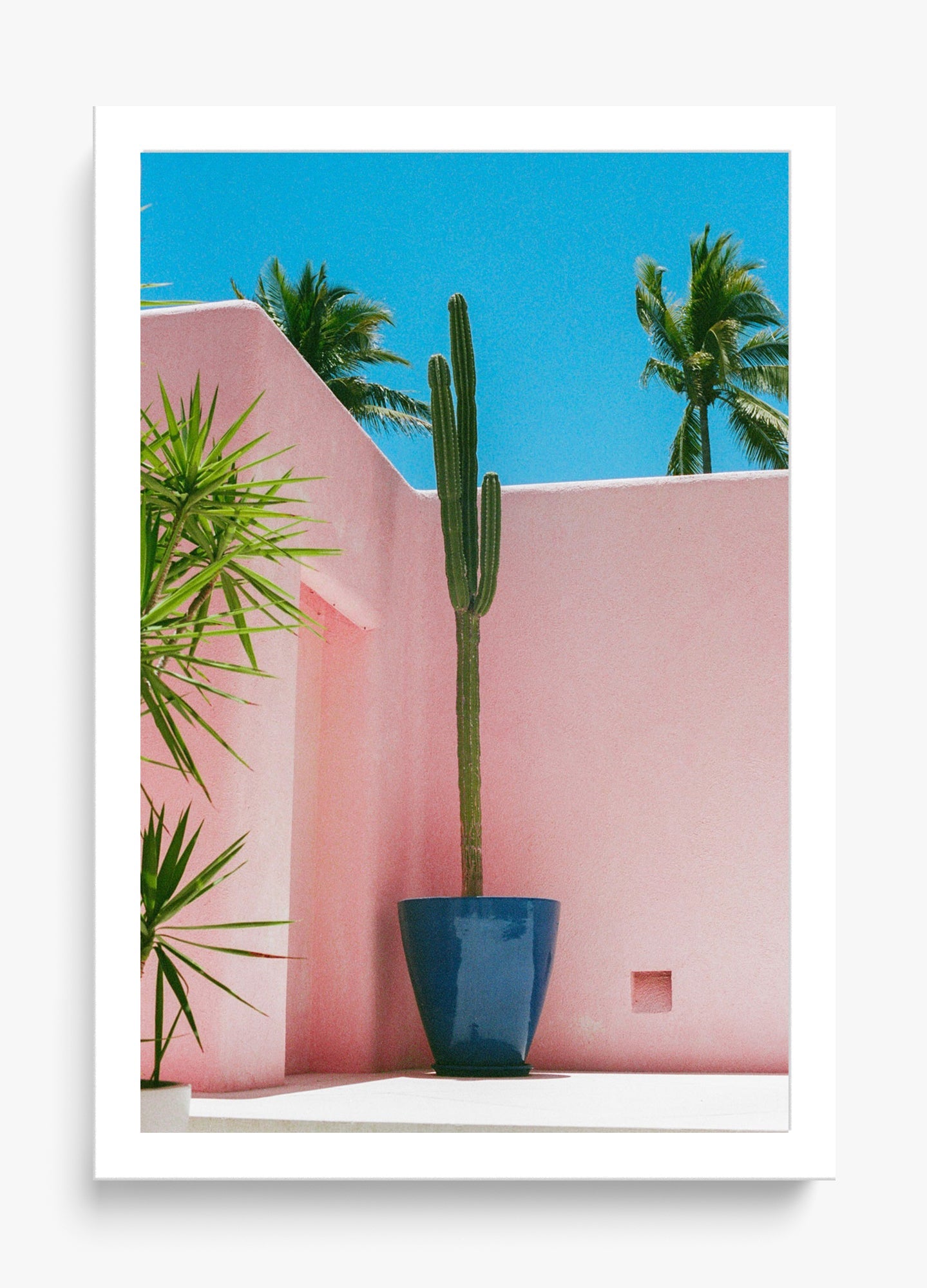 Summer In Pink