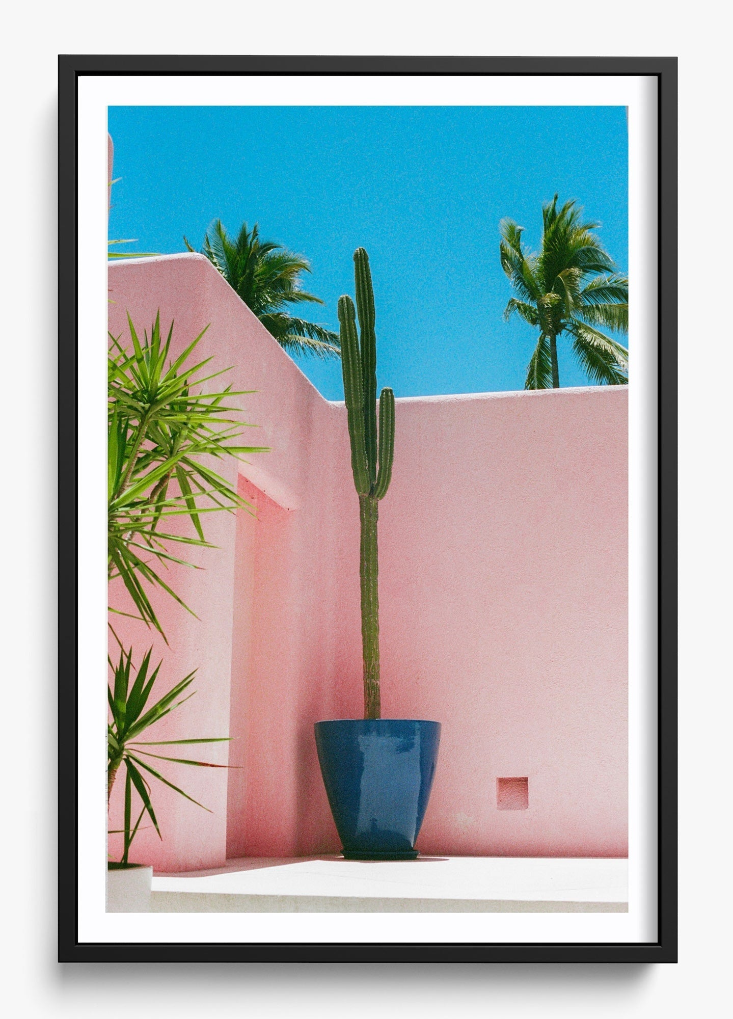 Summer In Pink