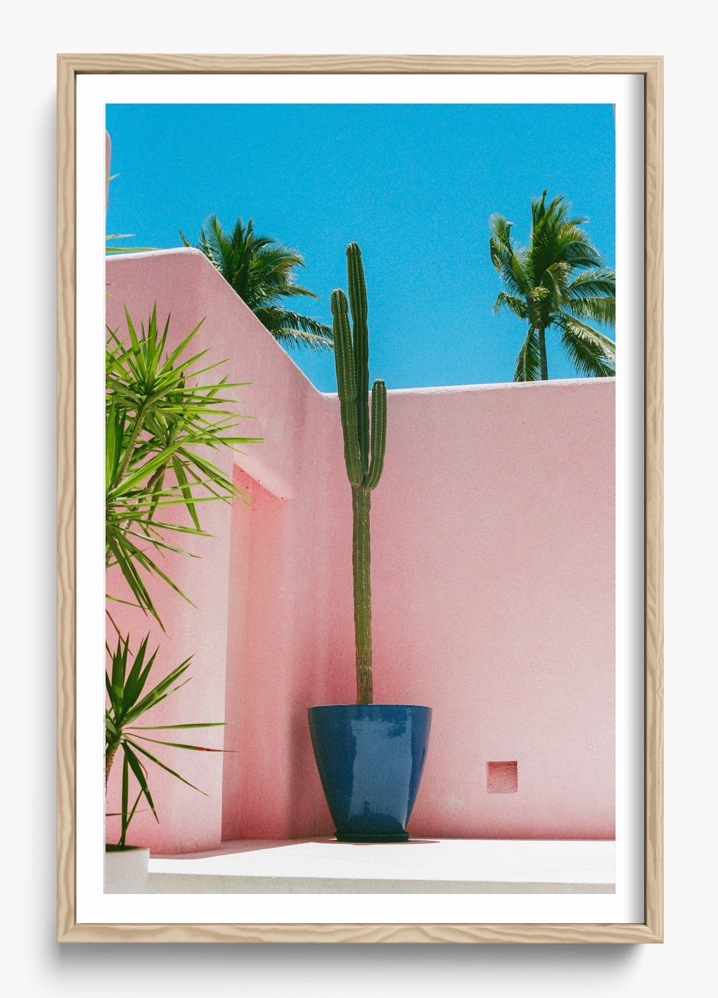 Summer In Pink