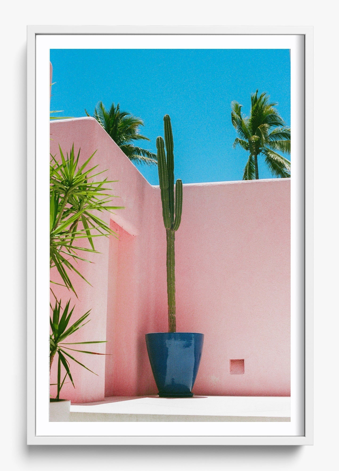 Summer In Pink