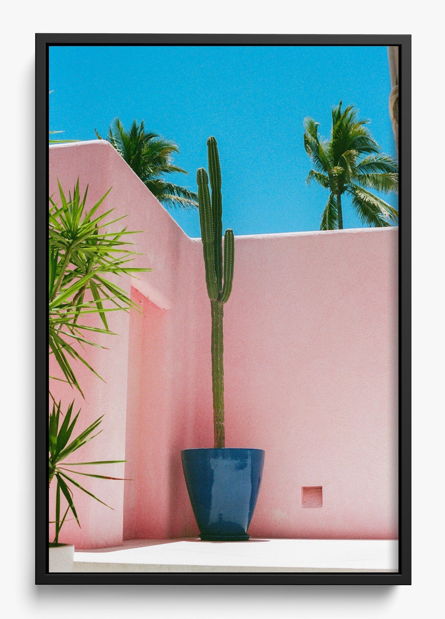 Summer In Pink