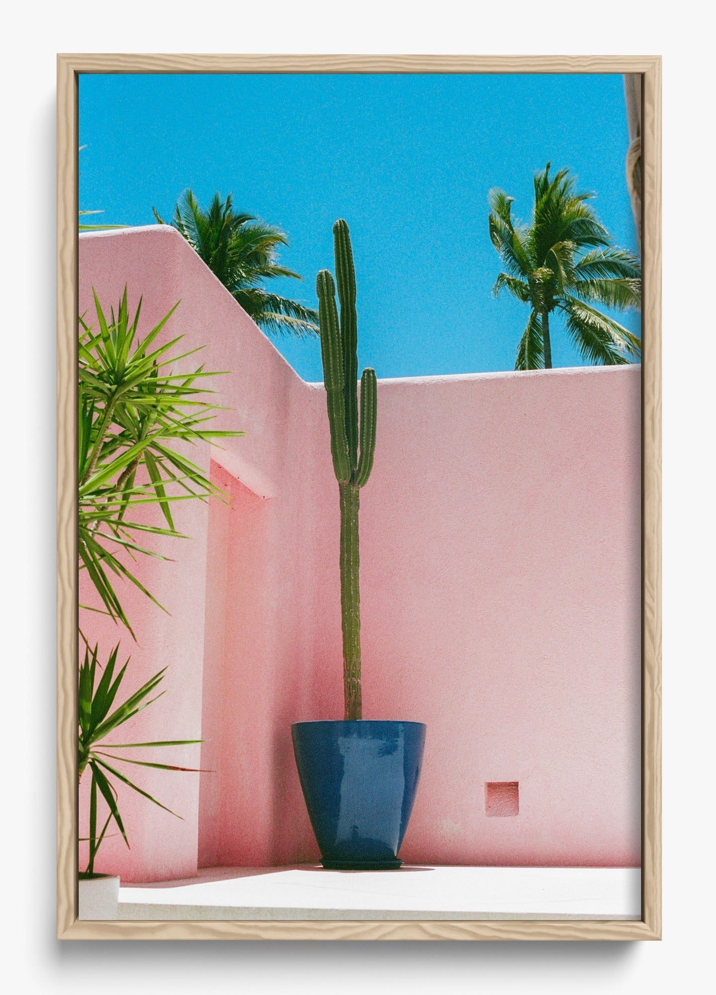 Summer In Pink