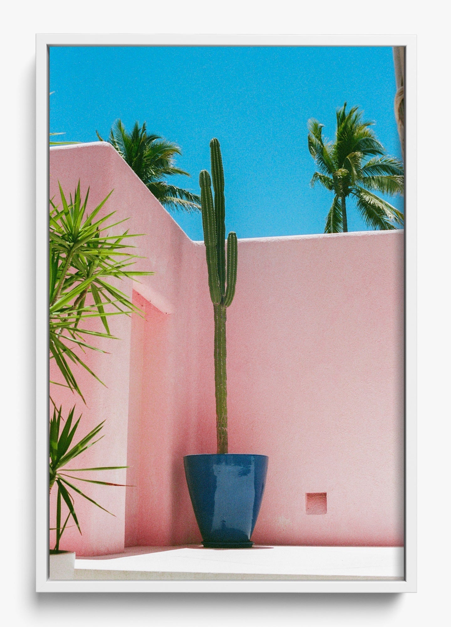 Summer In Pink