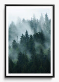 Deep Woods