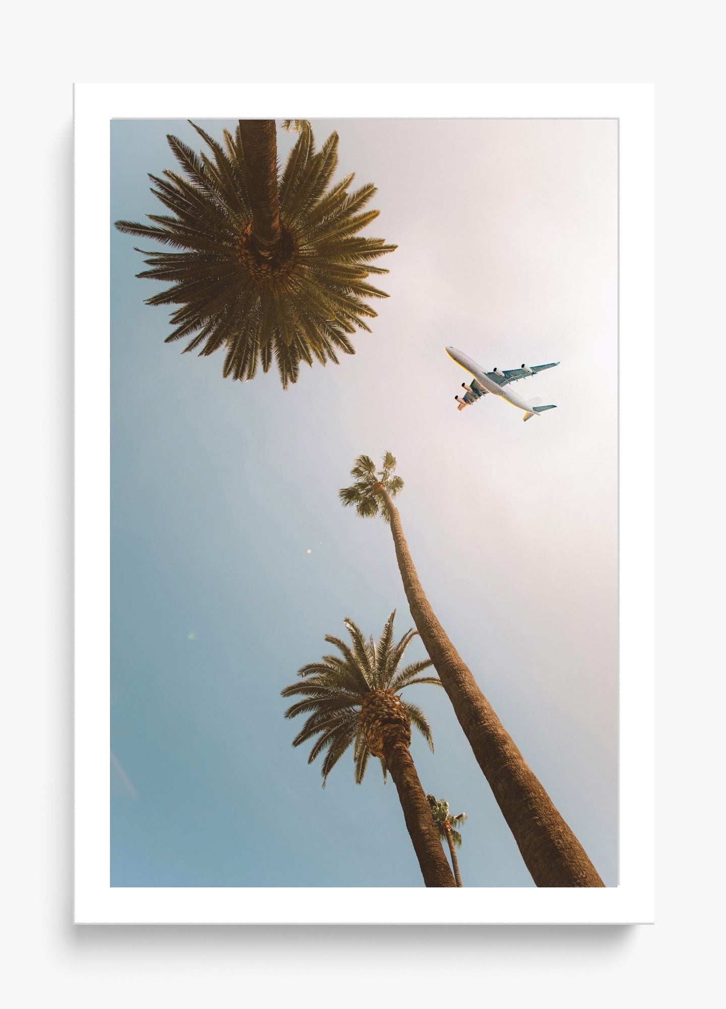 Come Fly With Me