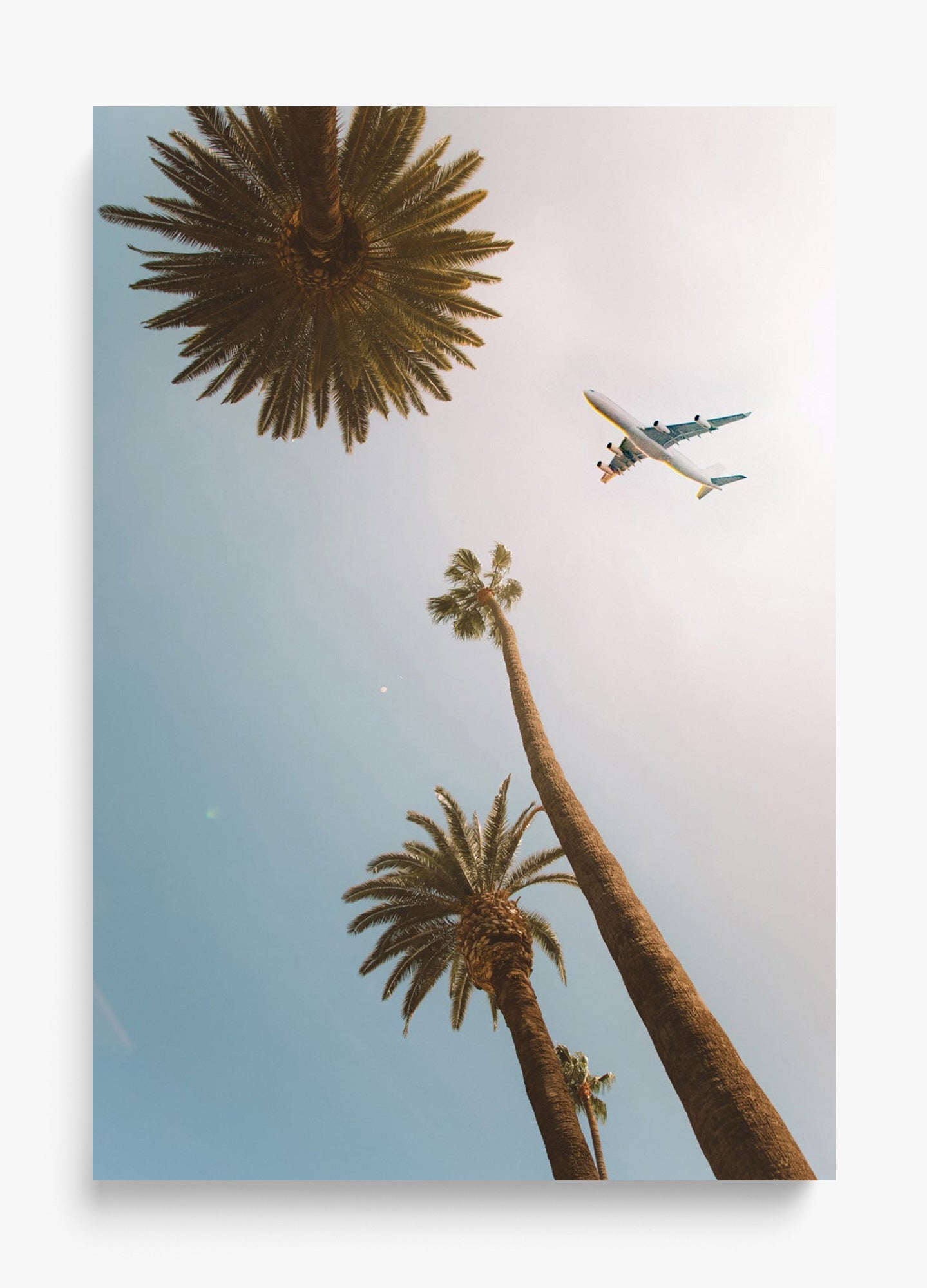 Come Fly With Me