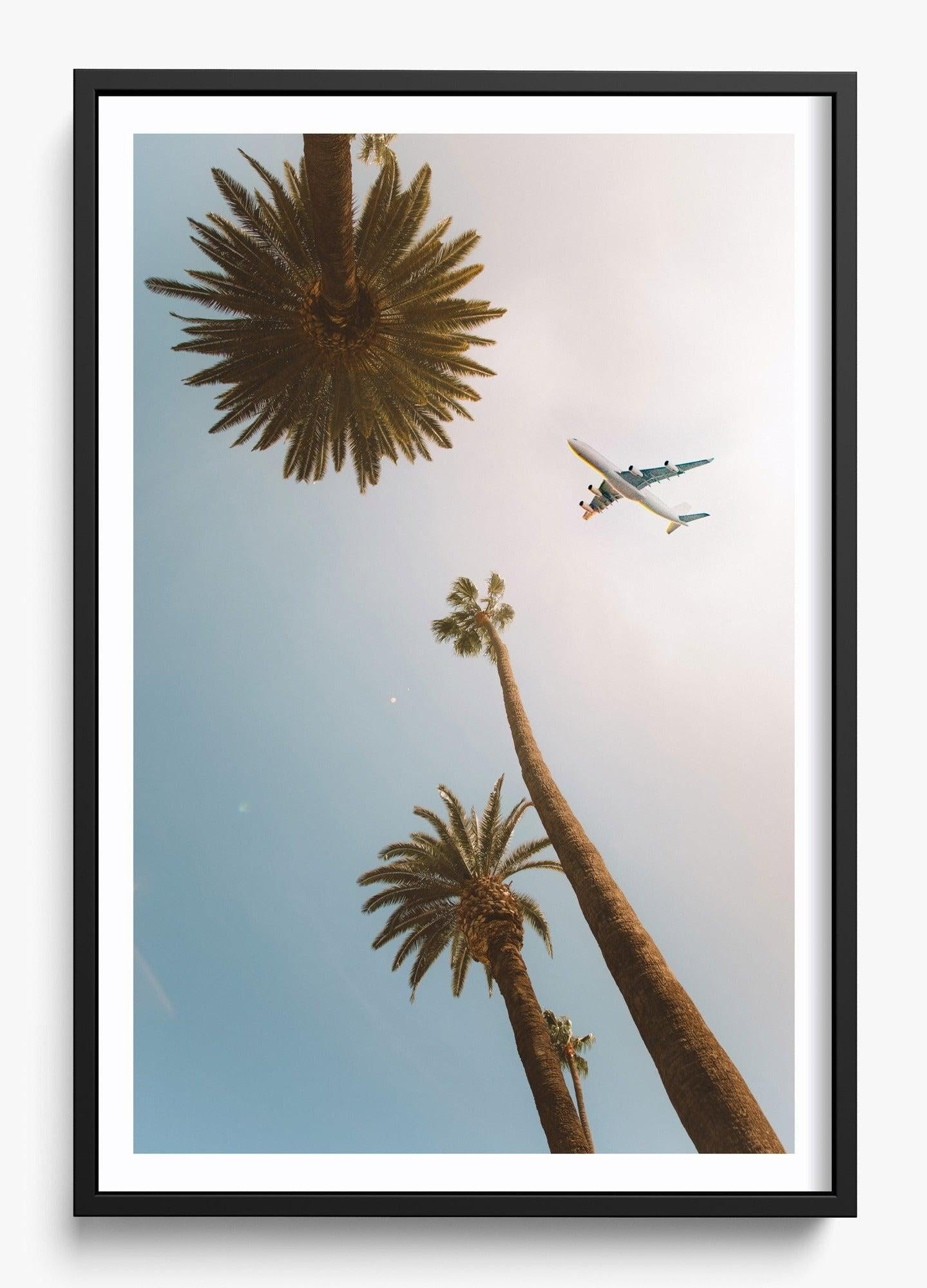 Come Fly With Me