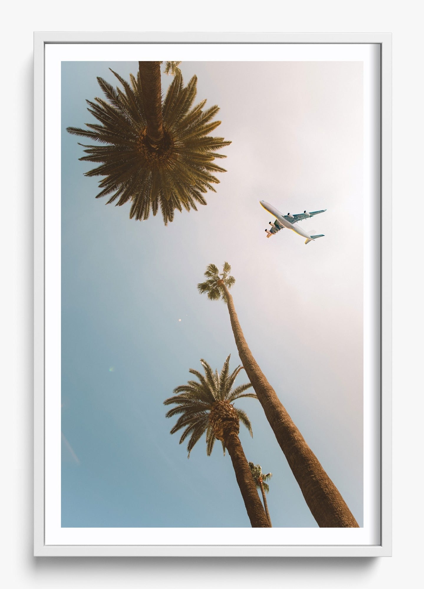 Come Fly With Me