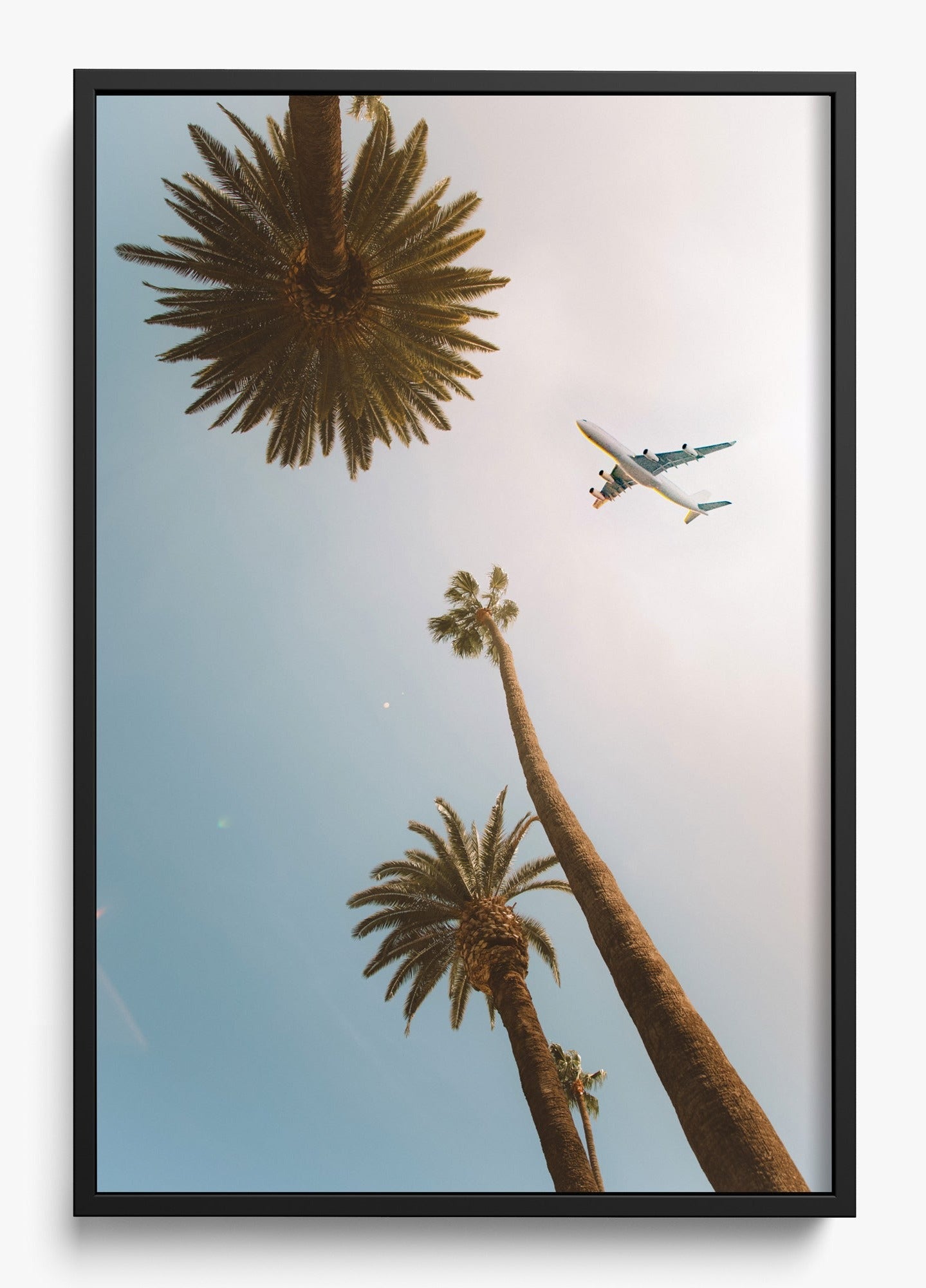 Come Fly With Me