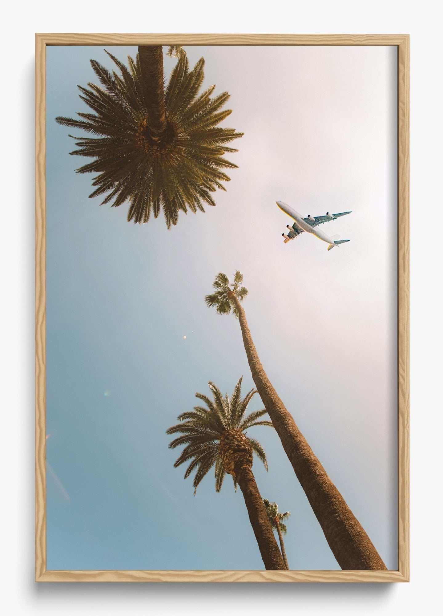 Come Fly With Me