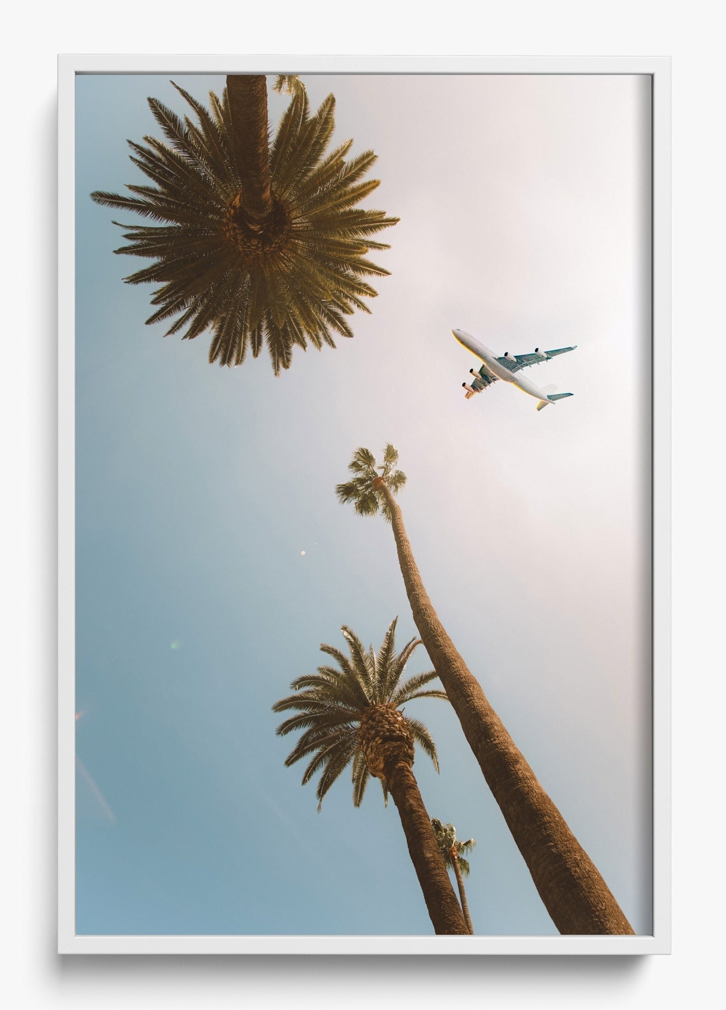 Come Fly With Me