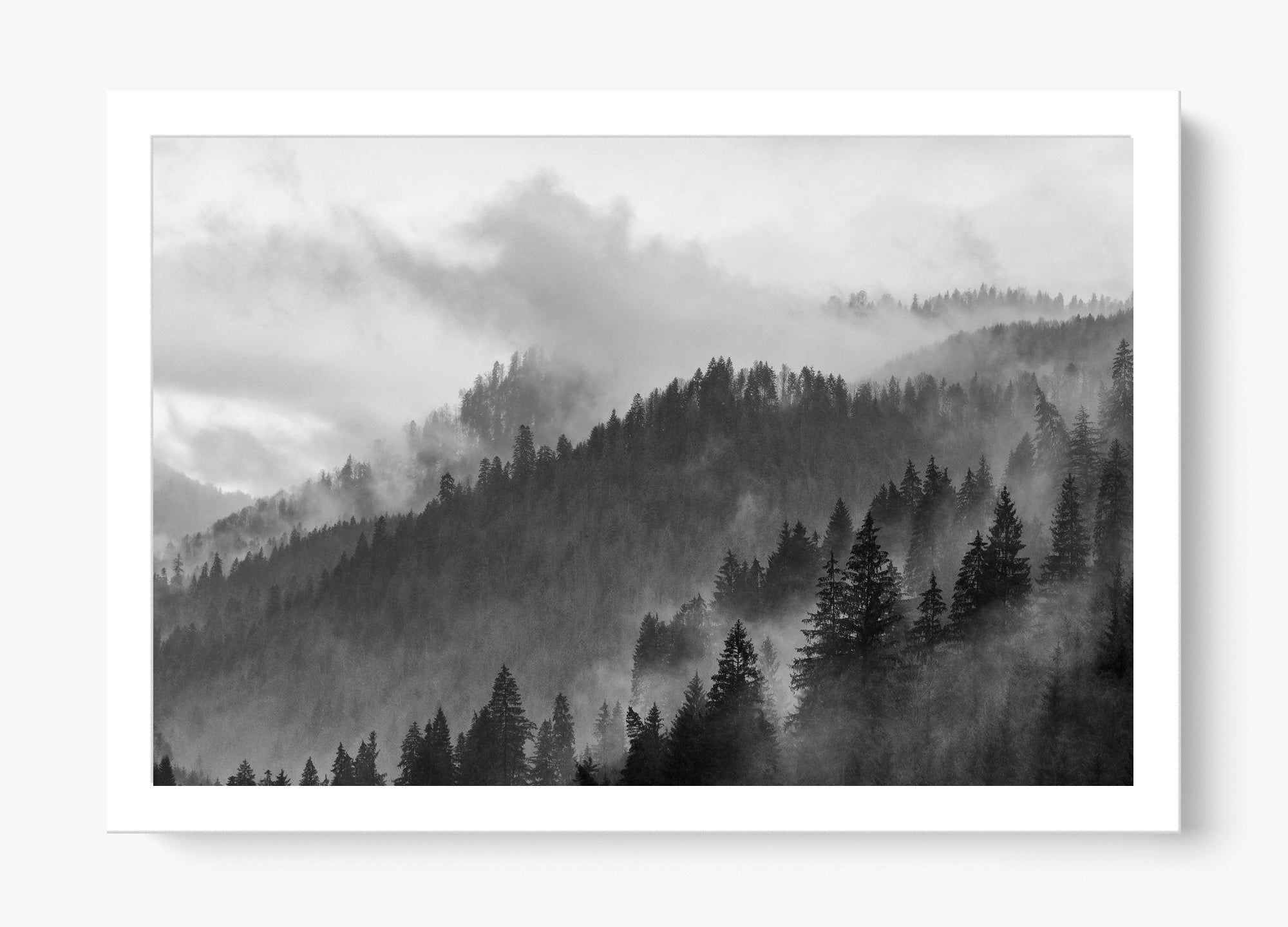 Grey Mountain
