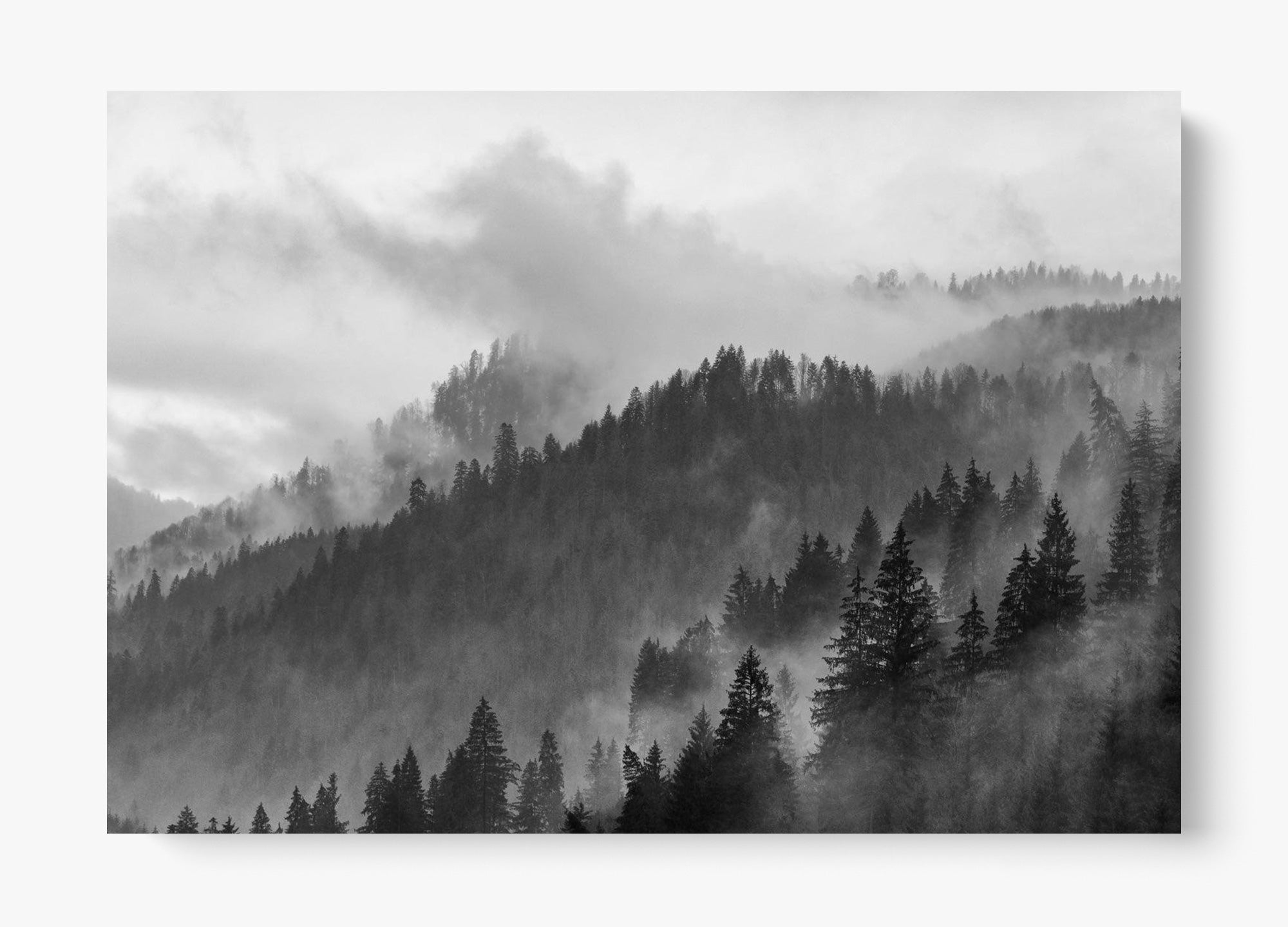 Grey Mountain