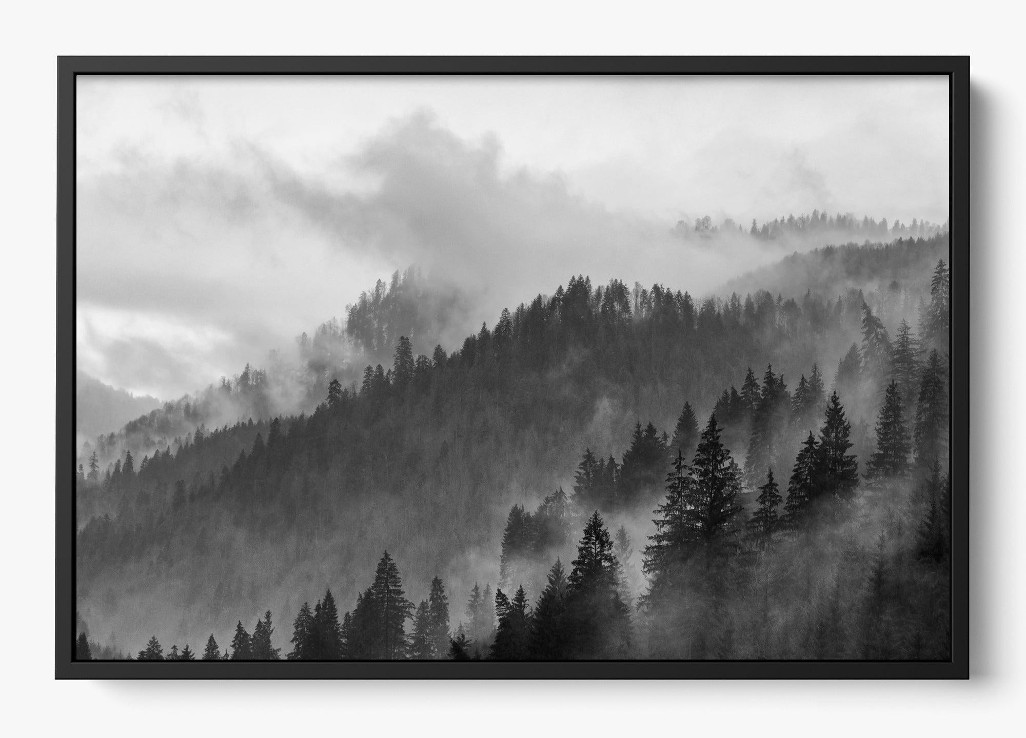 Grey Mountain