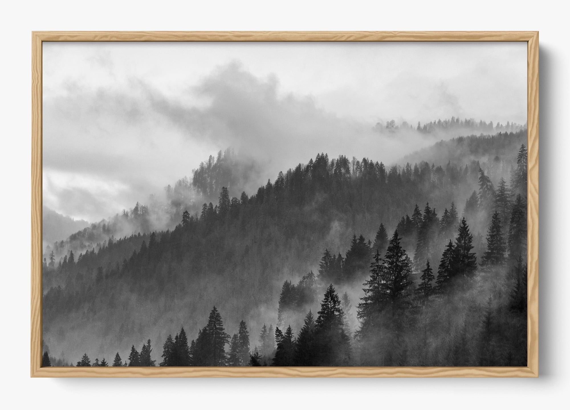 Grey Mountain