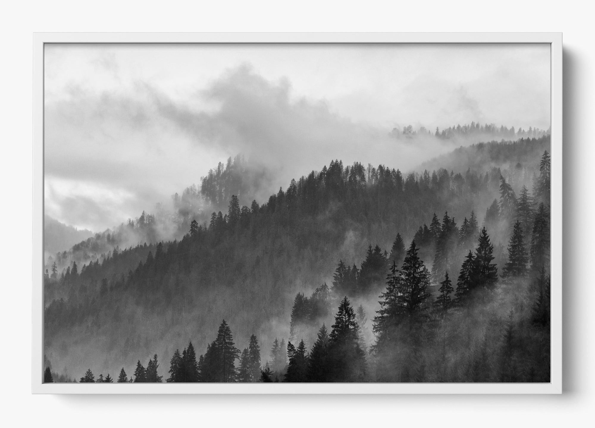 Grey Mountain