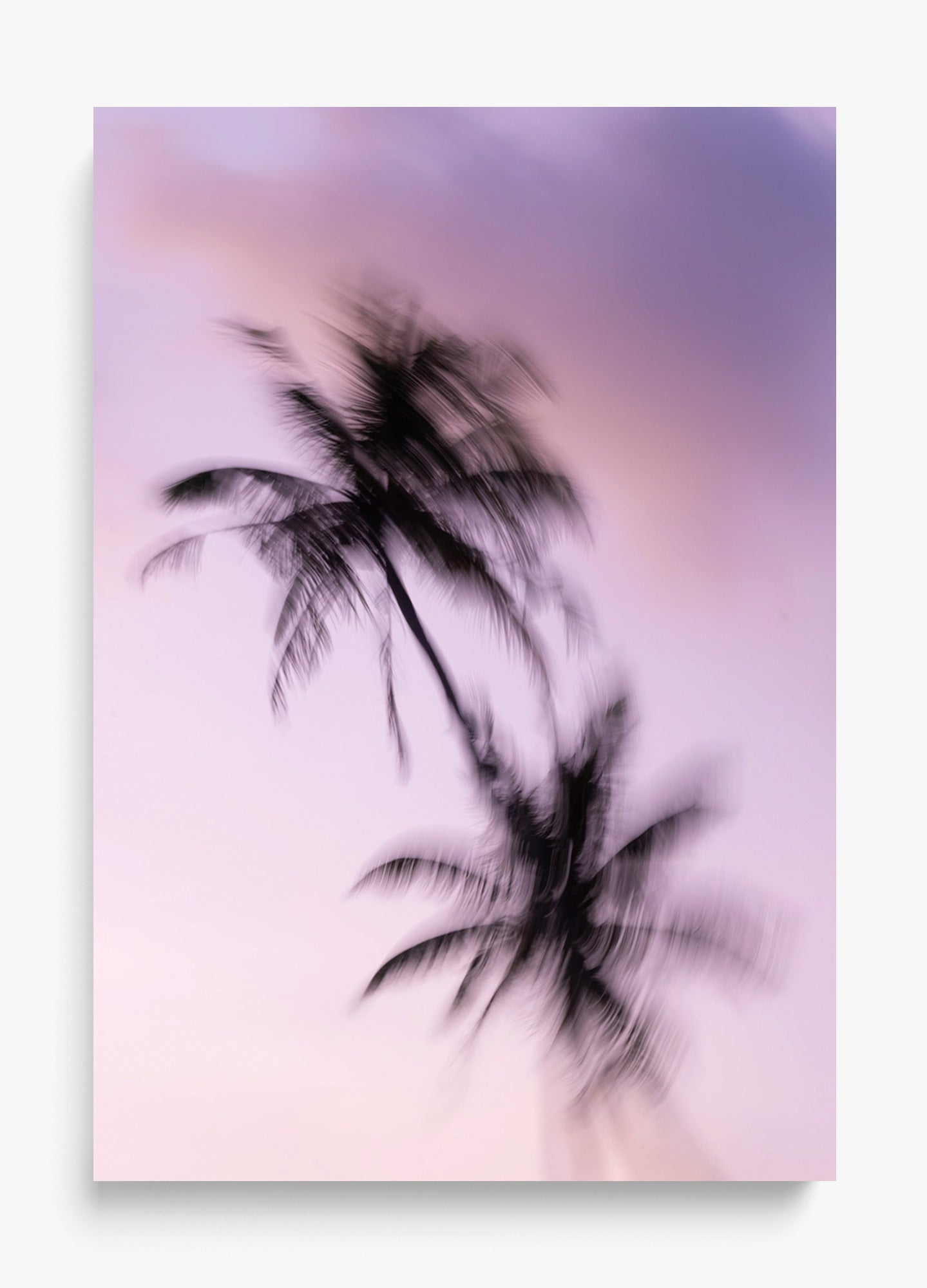Island Drift