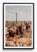 Lake Pleasant