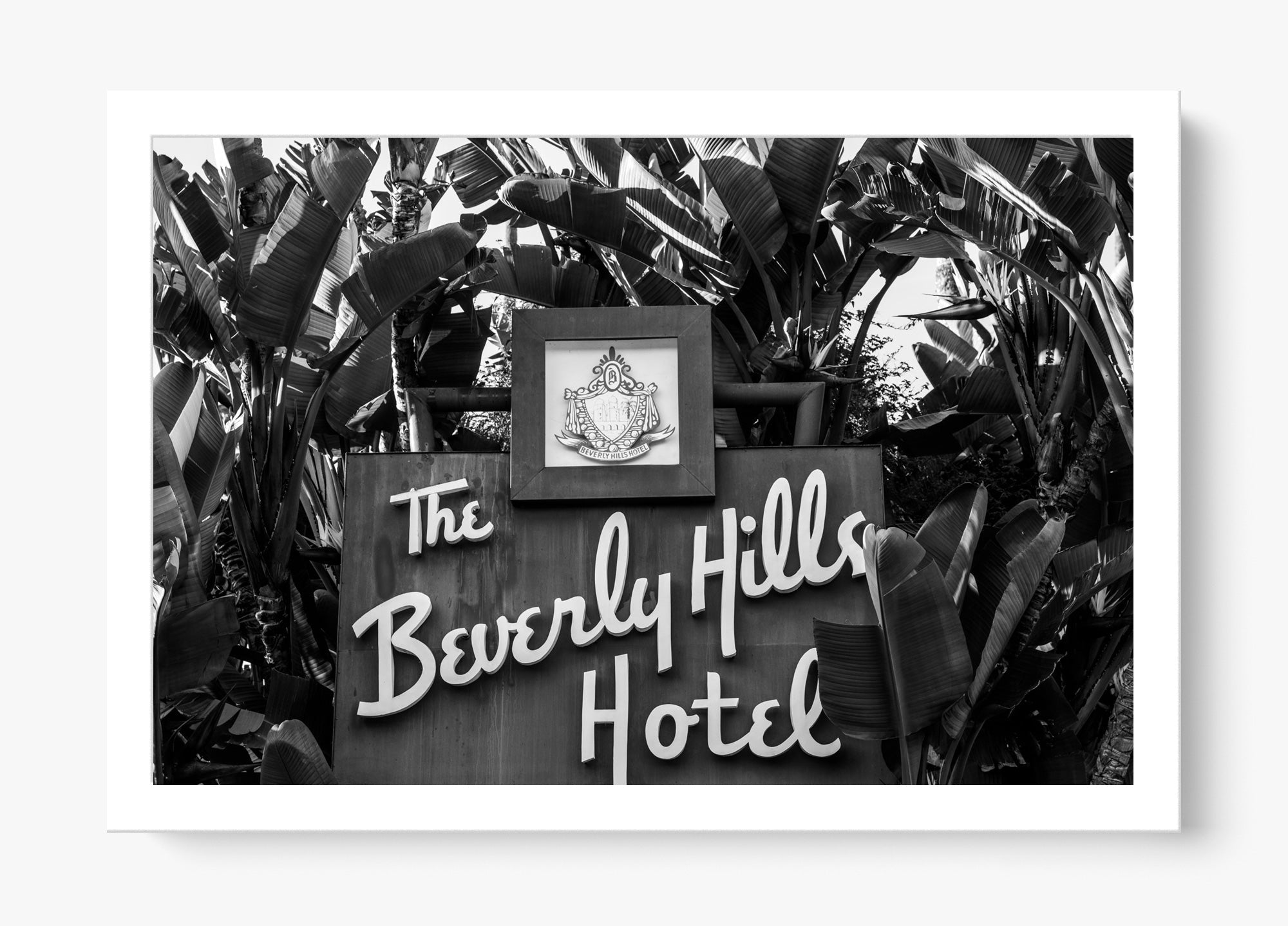 Weekend With Beverly