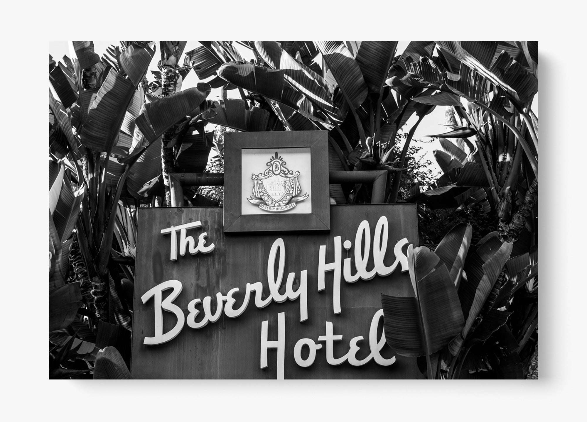 Weekend With Beverly