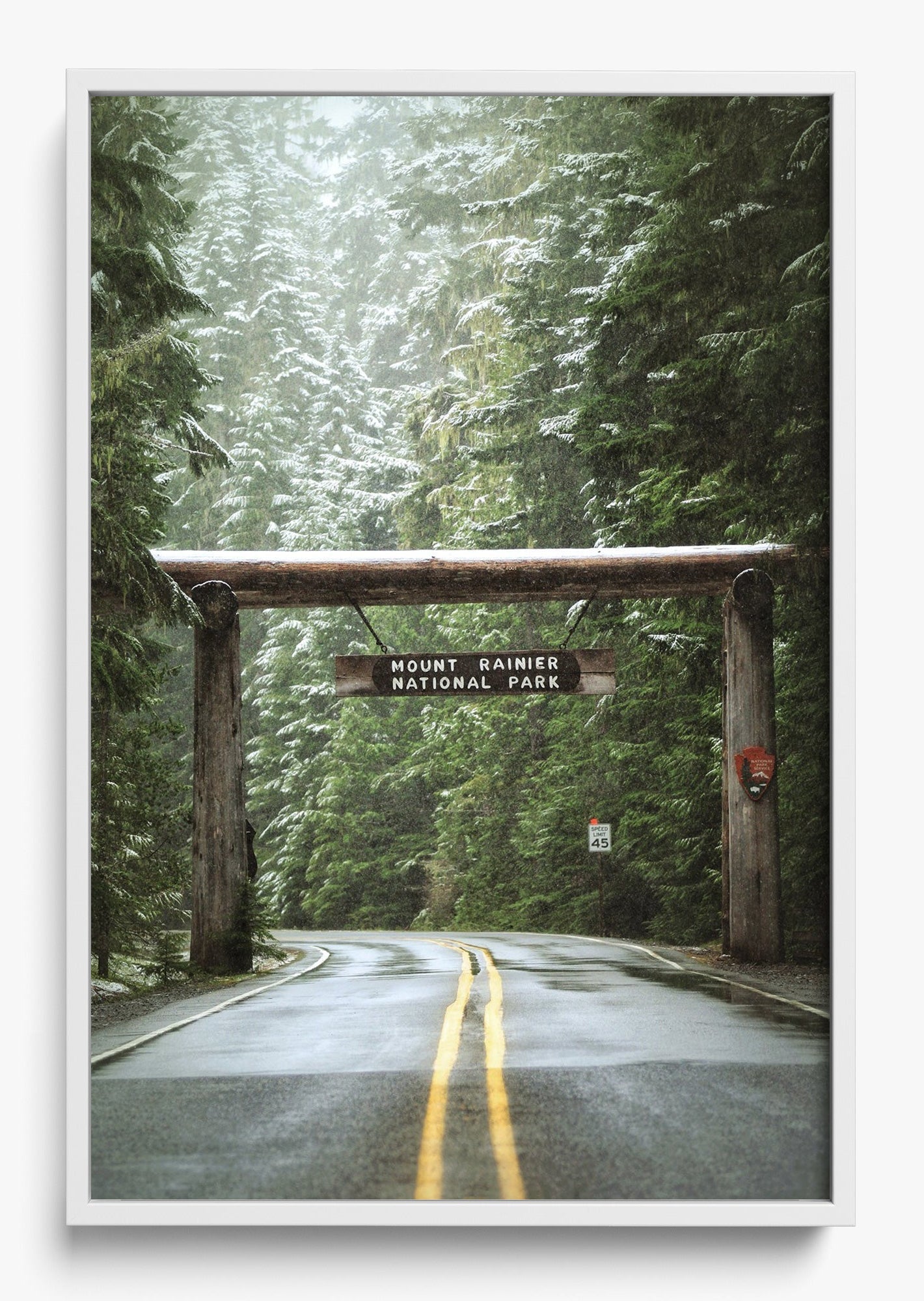 Mount Rainier
