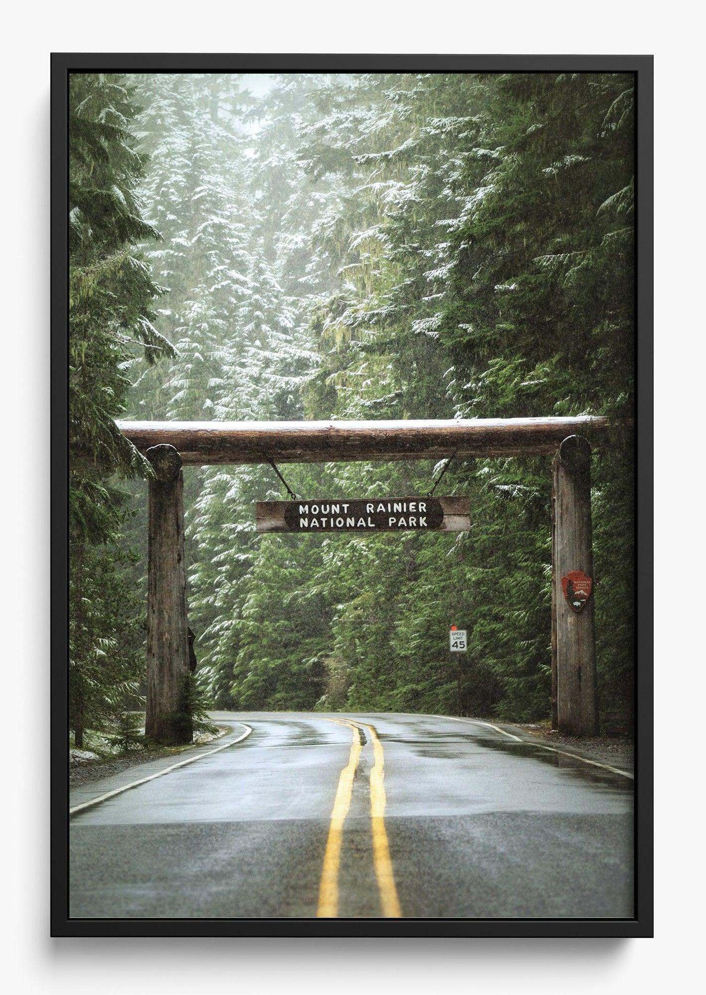 Mount Rainier
