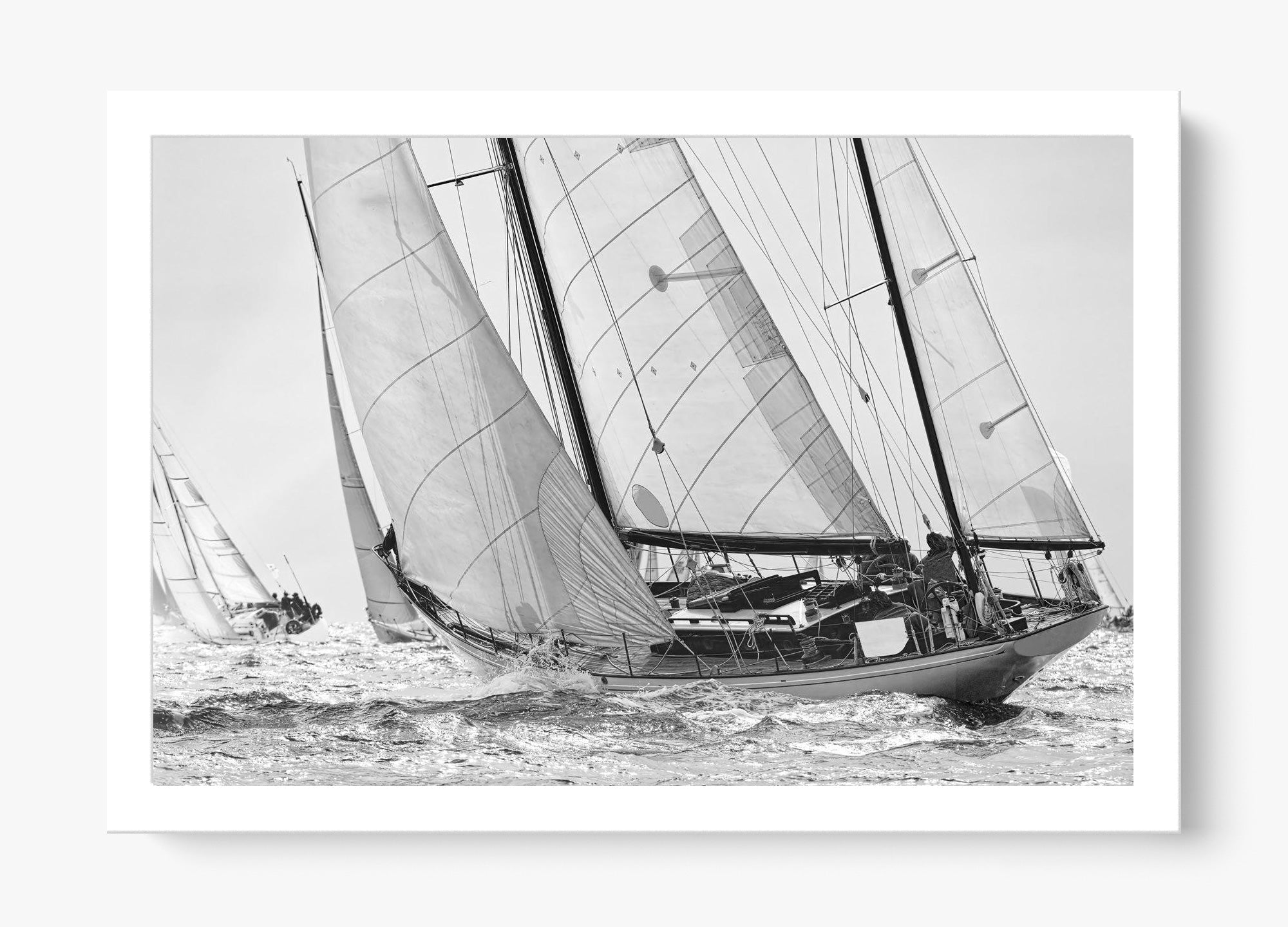Northward Winds