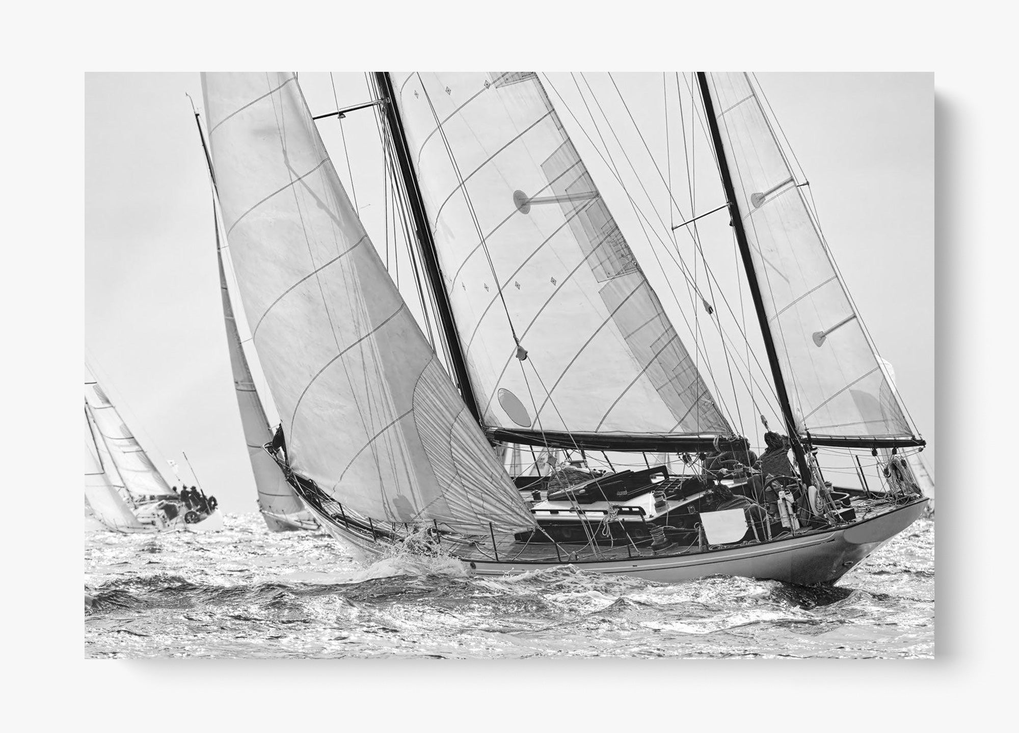 Northward Winds