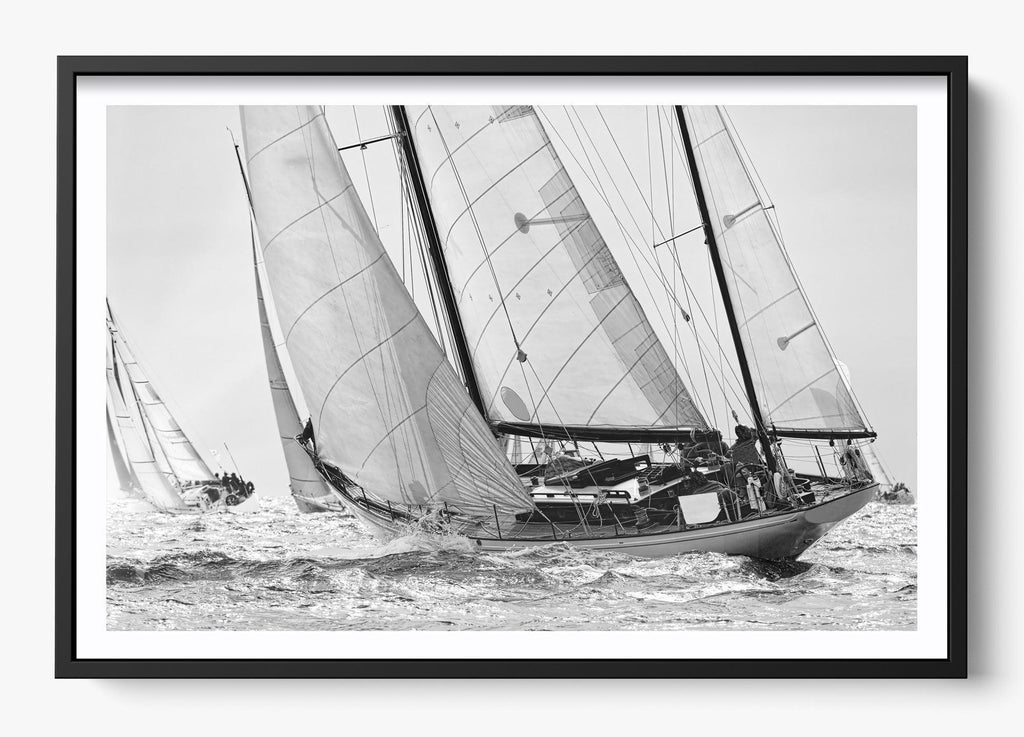 Northward Winds