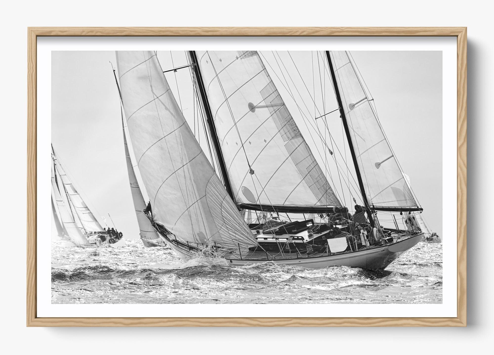 Northward Winds