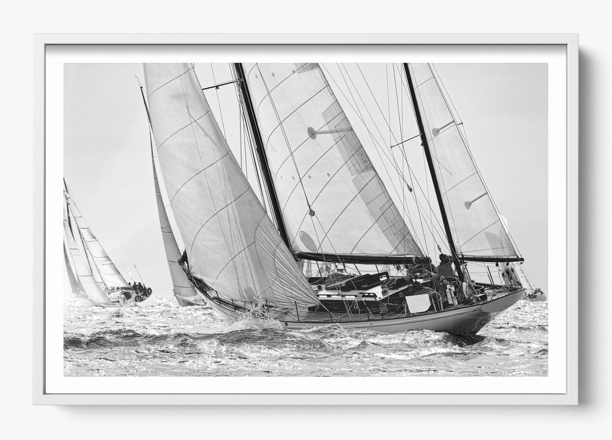 Northward Winds
