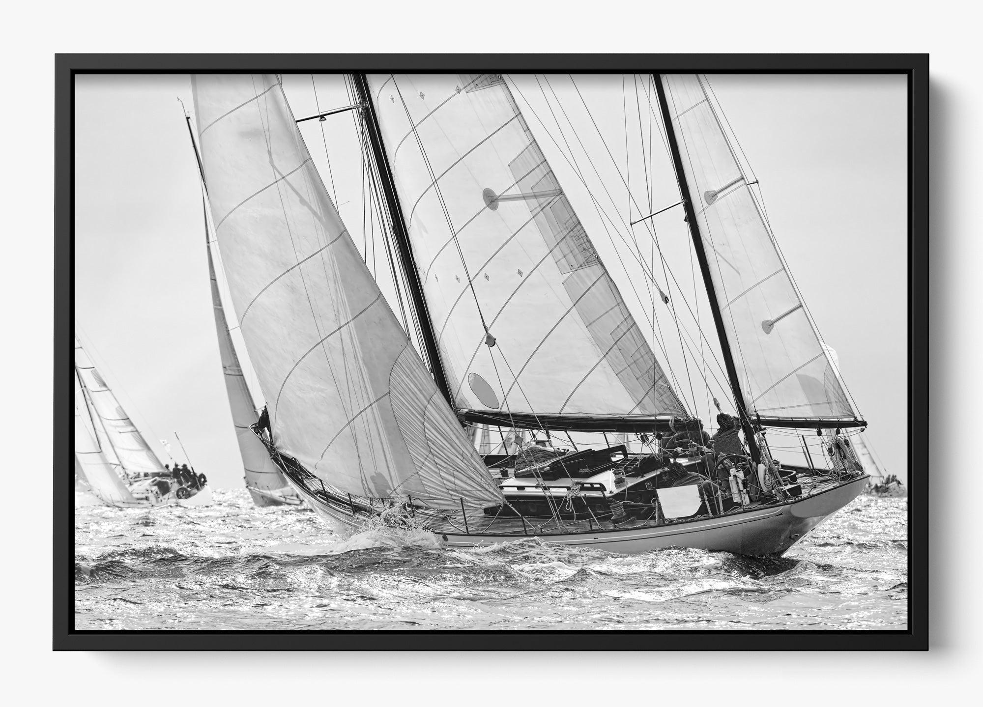 Northward Winds