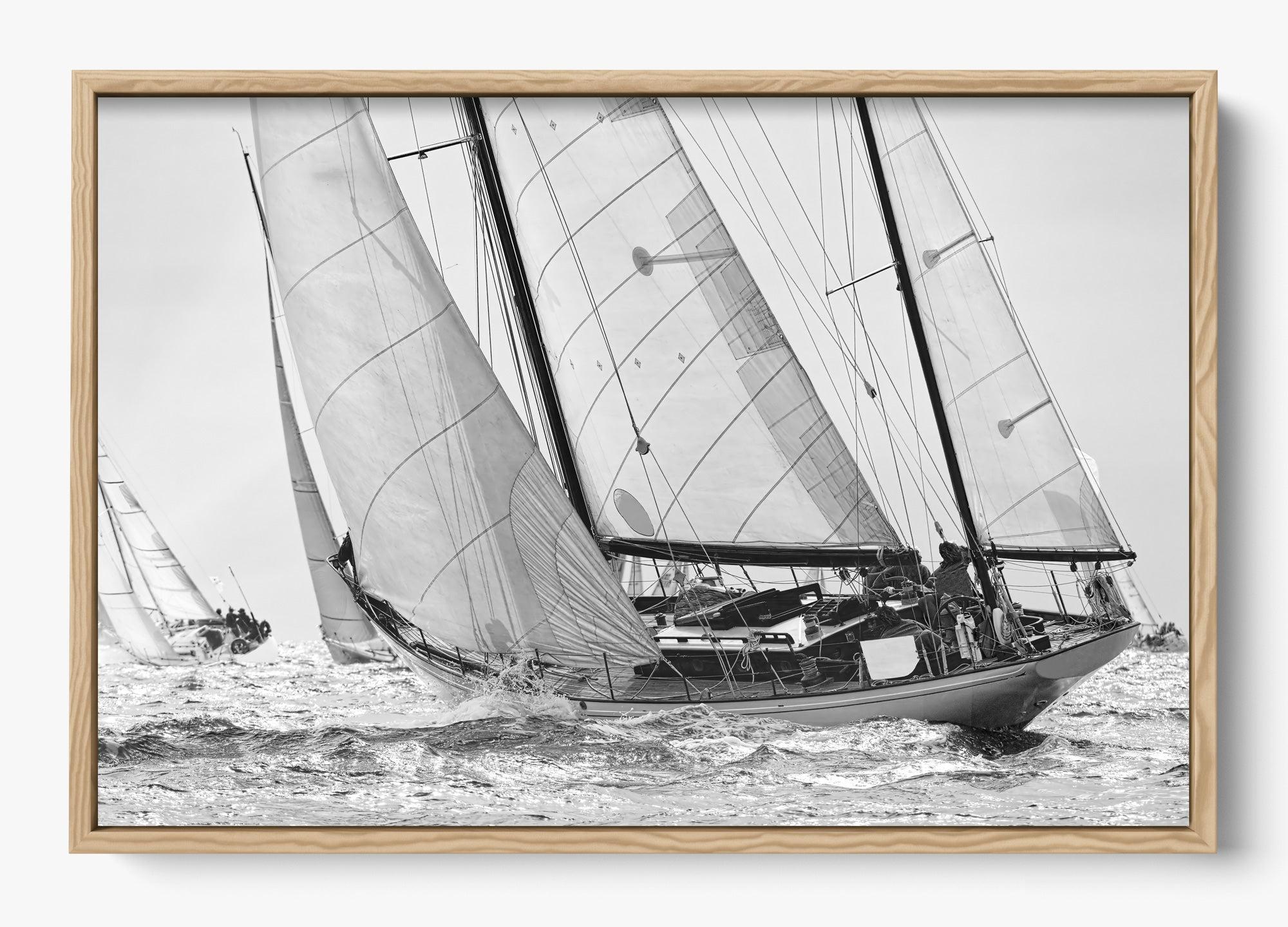 Northward Winds