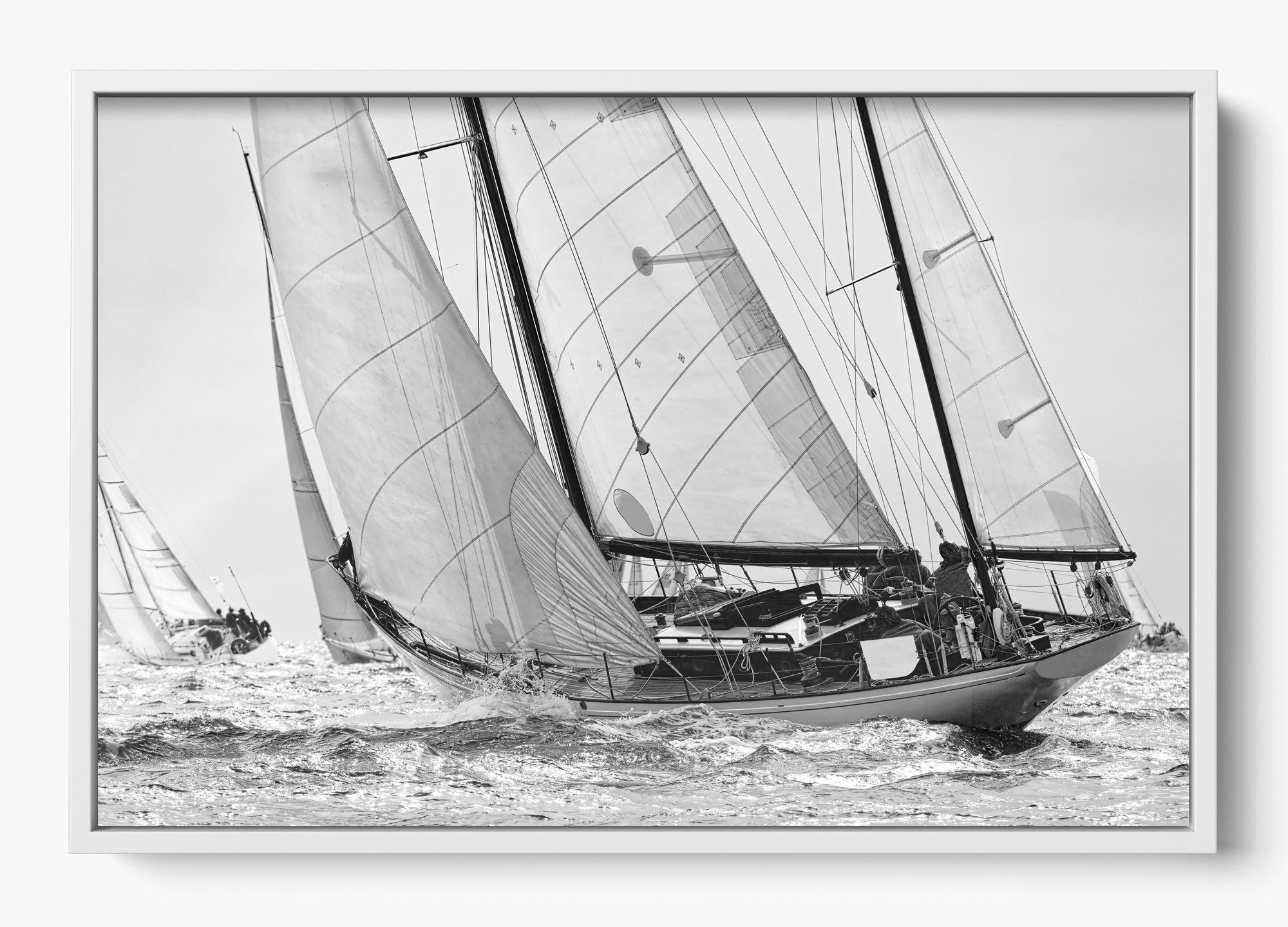 Northward Winds