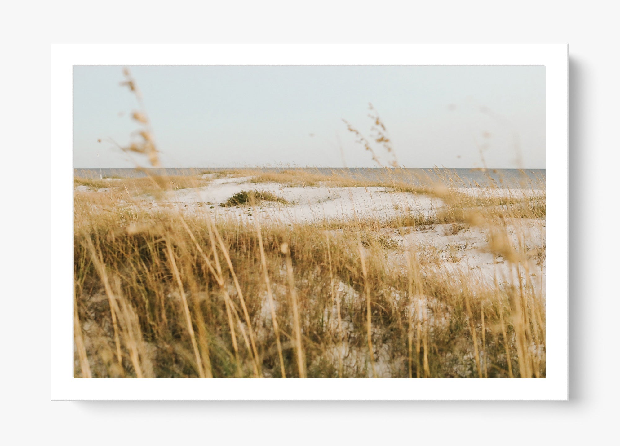 On The Dunes