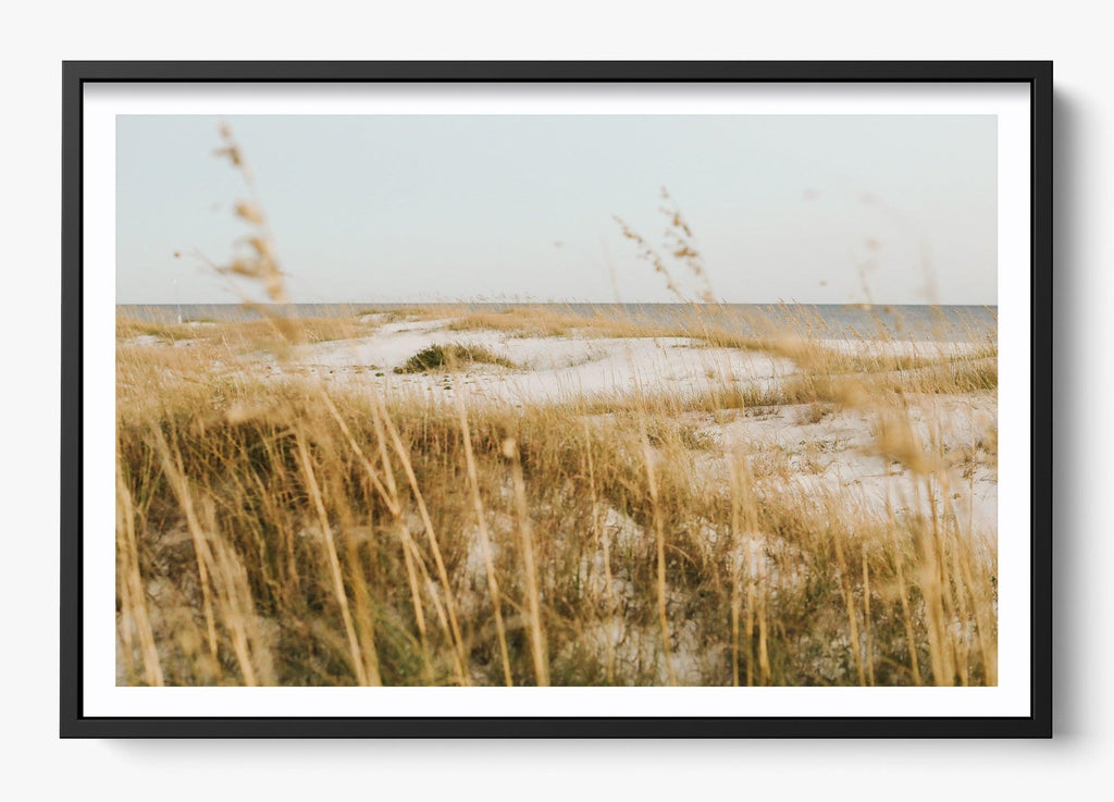 On The Dunes