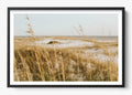 On The Dunes