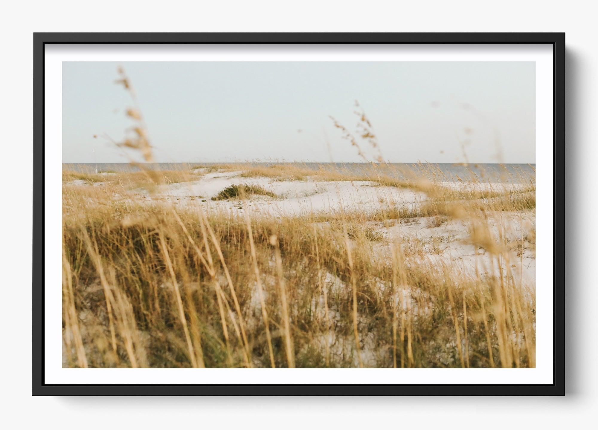 On The Dunes